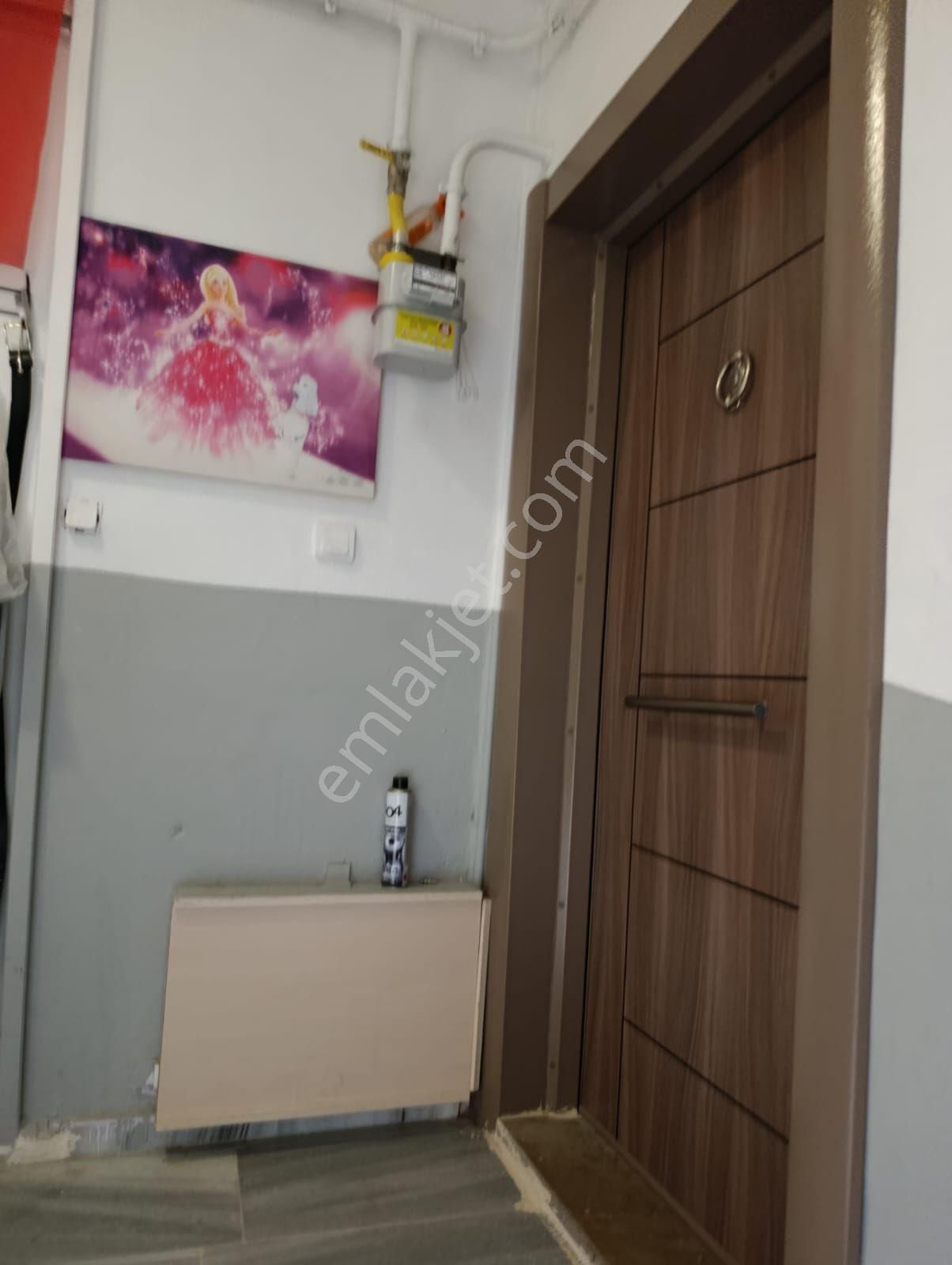 Kırklareli Karacaibrahim Satılık Bina - Görsel 29