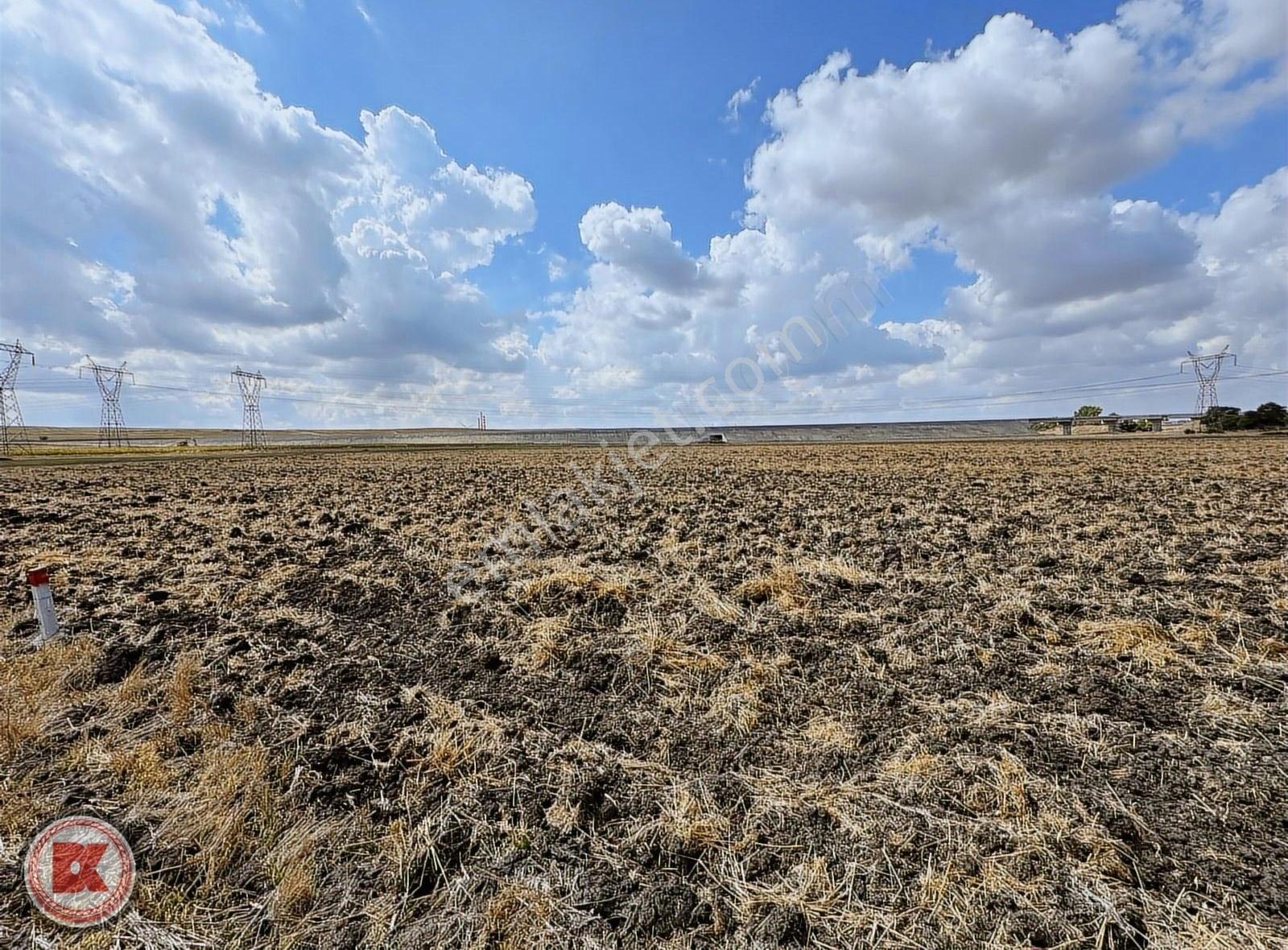 Tekirdağ Ergene Misinli'de Hızlı Trenin Yanında 504 Metre Tarla - Görsel 5