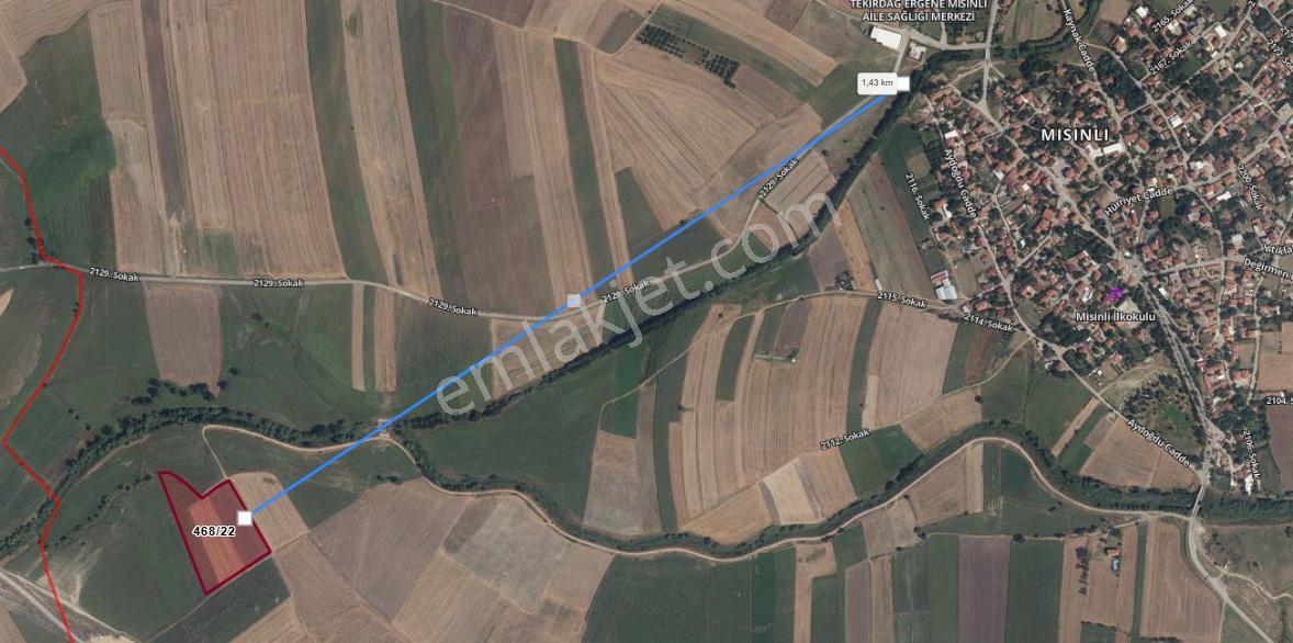 Tekirdağ Ergene Misinli'de Hızlı Trenin Yanında 504 Metre Tarla - Görsel 2