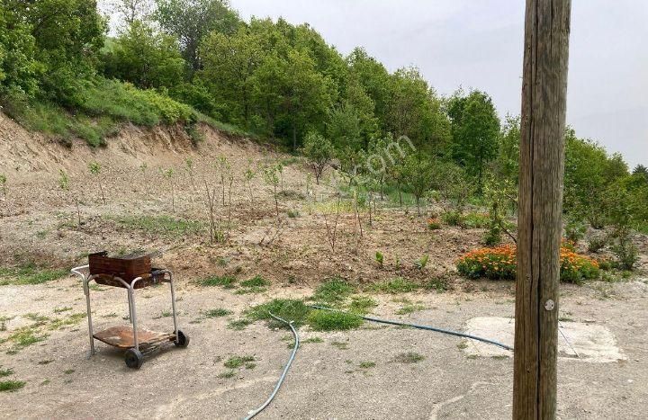 Tokat Merkez Emir Siirt Belediyesi Bozatalan Köyü - Görsel 11