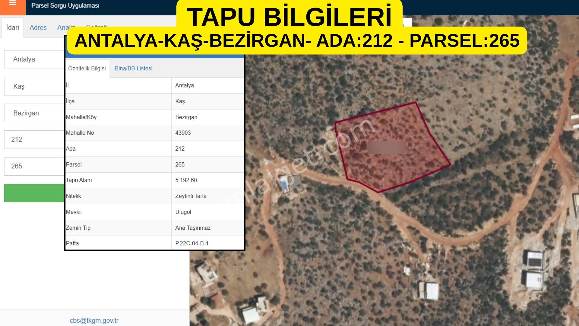 Antalya-kaş-bezirgan-satılık Arazi-tek Tapu-kaputaş Plajına 2 Km-yolu, Elek Ve Suyu Var - Görsel 8