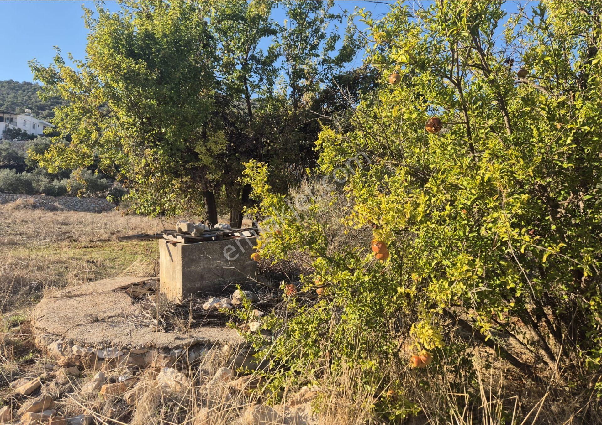 Antalya-kaş-bezirgan-satılık Arazi-denize 800m-elek, Su Ve Yolu Var - Görsel 10