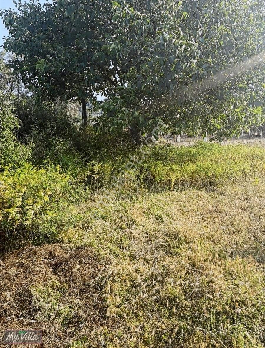 Ana Yola Sıfır 5109 M2 Sebeke Suyu Olan Ev Yapılabilecek Tarla - Görsel 3