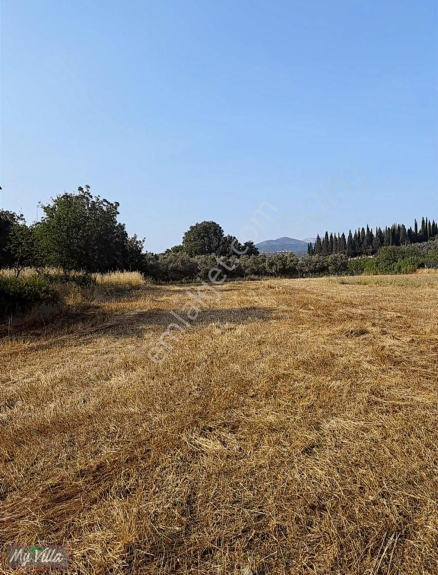 Kadastral Yolu Olan Toplam 3 Parsel 8062 M2 Tarla - Görsel 7