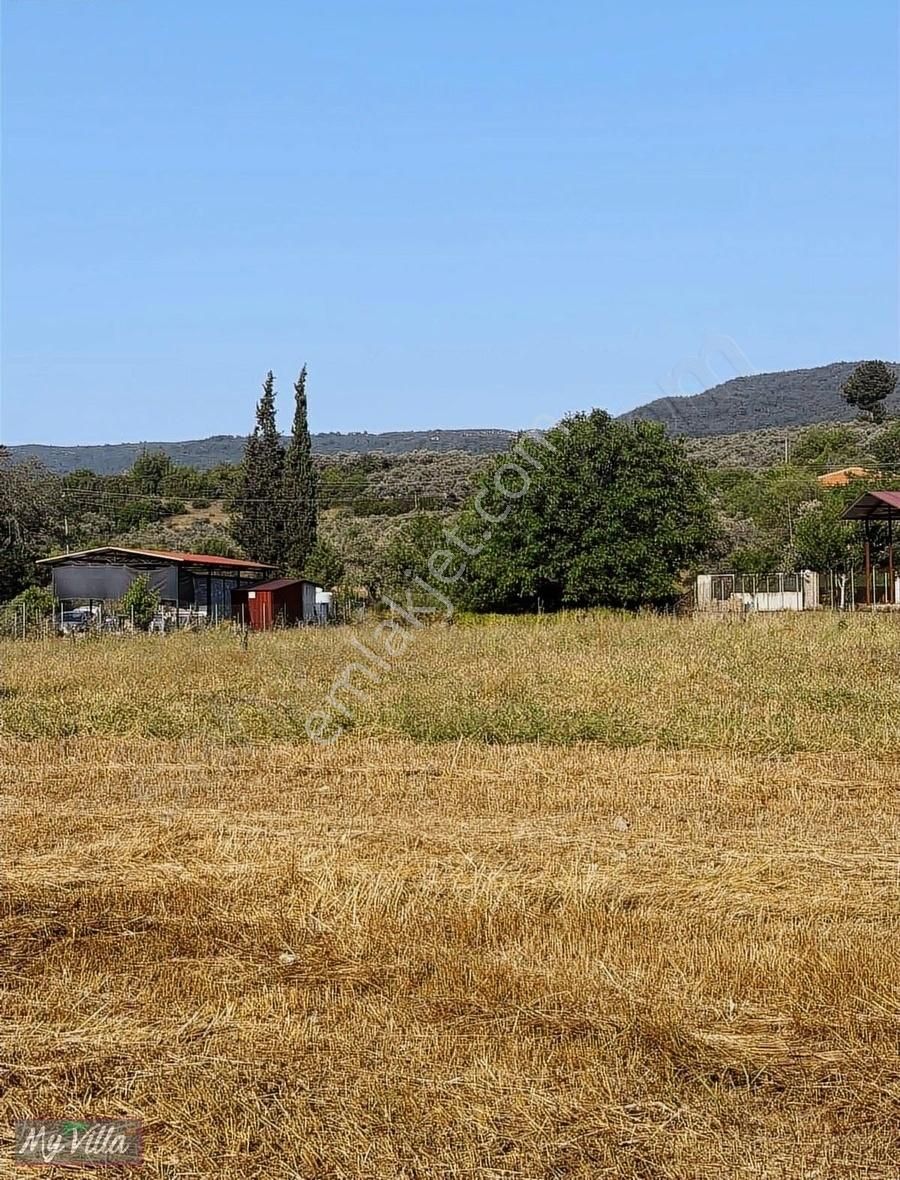 Kadastral Yolu Olan Toplam 3 Parsel 8062 M2 Tarla - Görsel 15