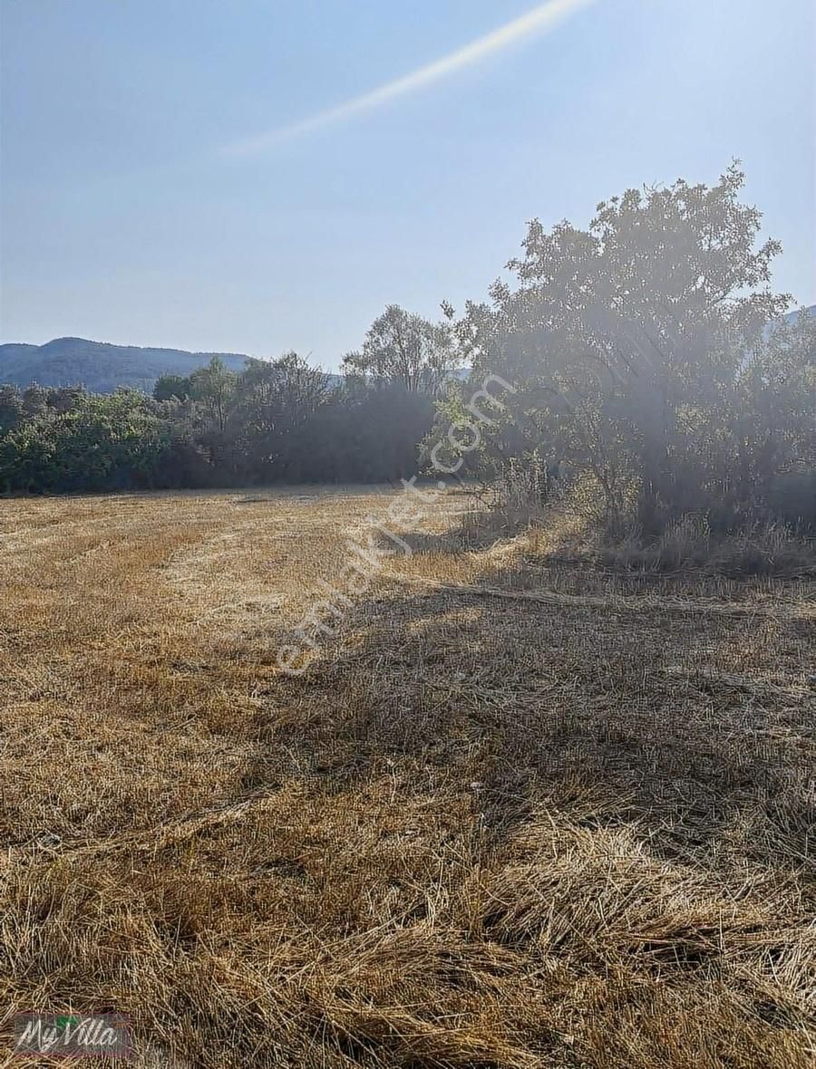 Kadastral Yolu Olan Toplam 3 Parsel 8062 M2 Tarla - Görsel 9
