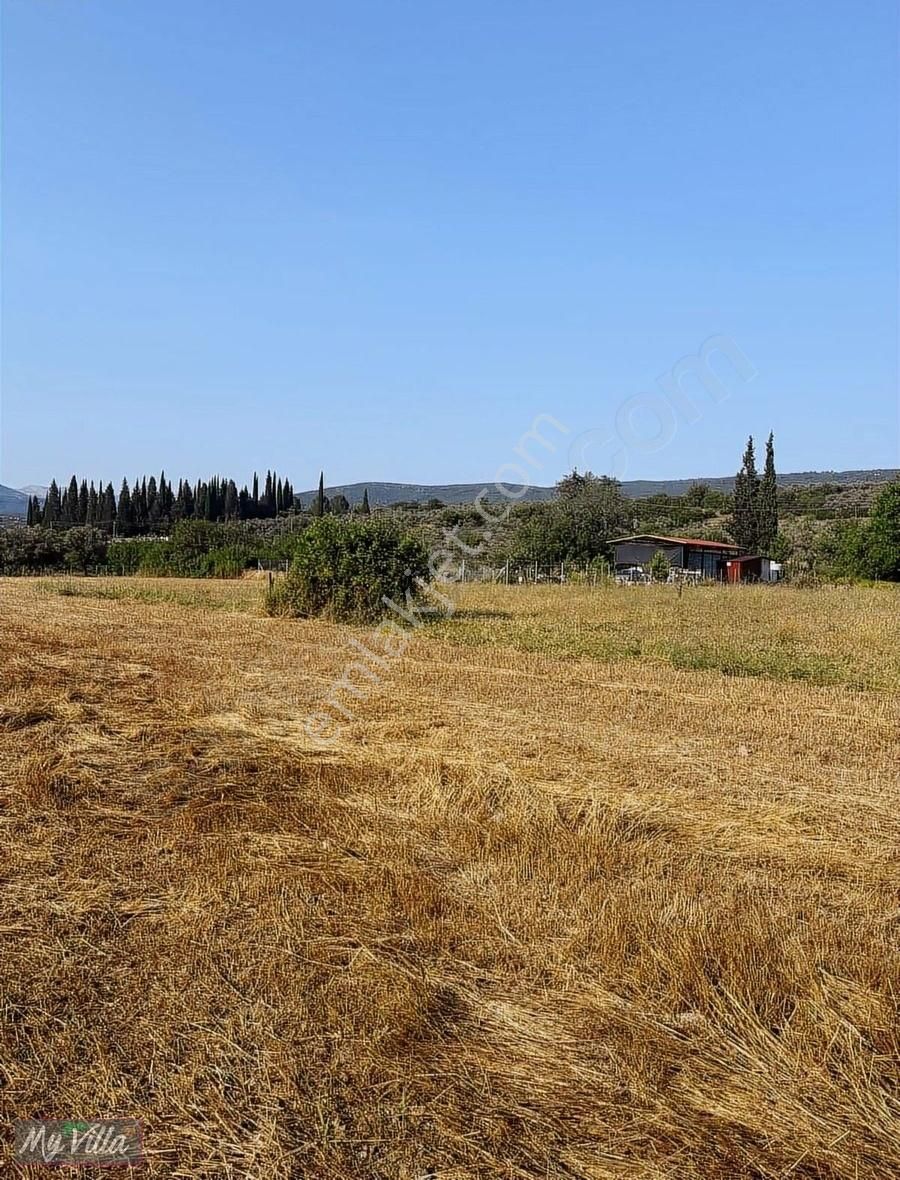 Kadastral Yolu Olan Toplam 3 Parsel 8062 M2 Tarla - Görsel 4