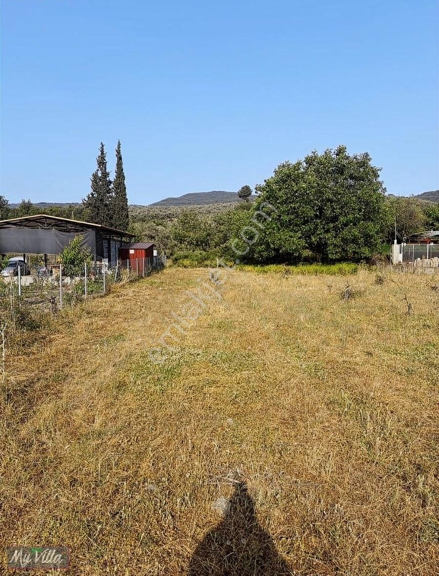 Kadastral Yolu Olan Toplam 3 Parsel 8062 M2 Tarla - Görsel 10