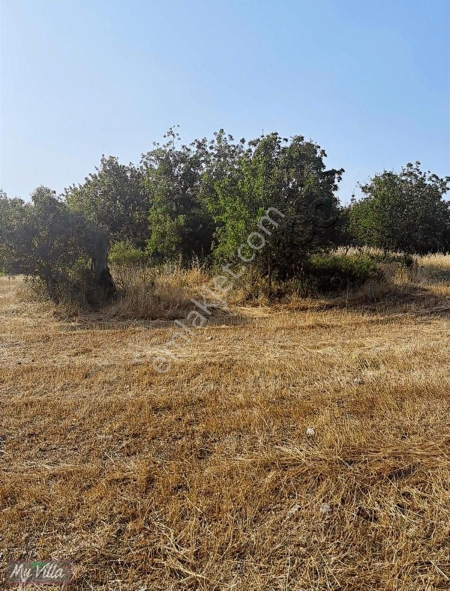 Kadastral Yolu Olan Toplam 3 Parsel 8062 M2 Tarla - Görsel 17