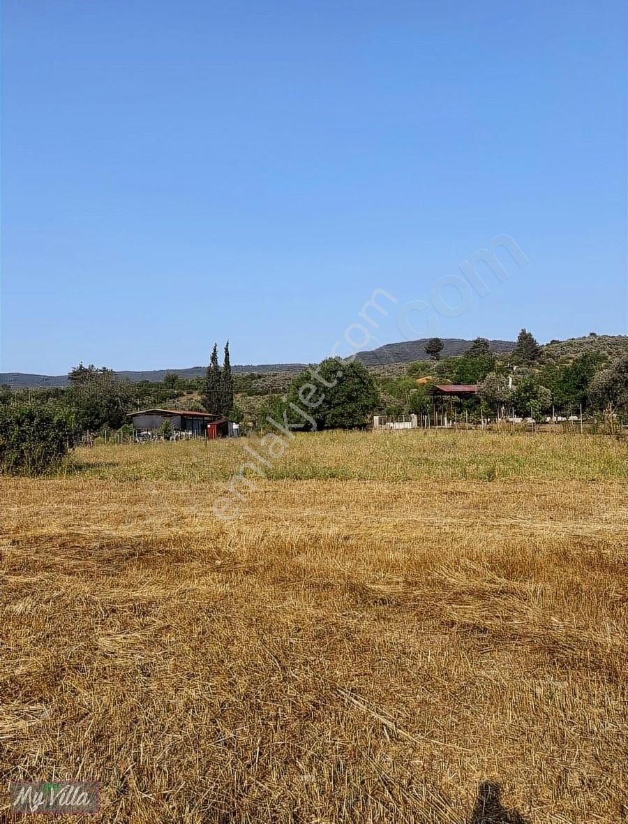 Kadastral Yolu Olan Toplam 3 Parsel 8062 M2 Tarla - Görsel 5