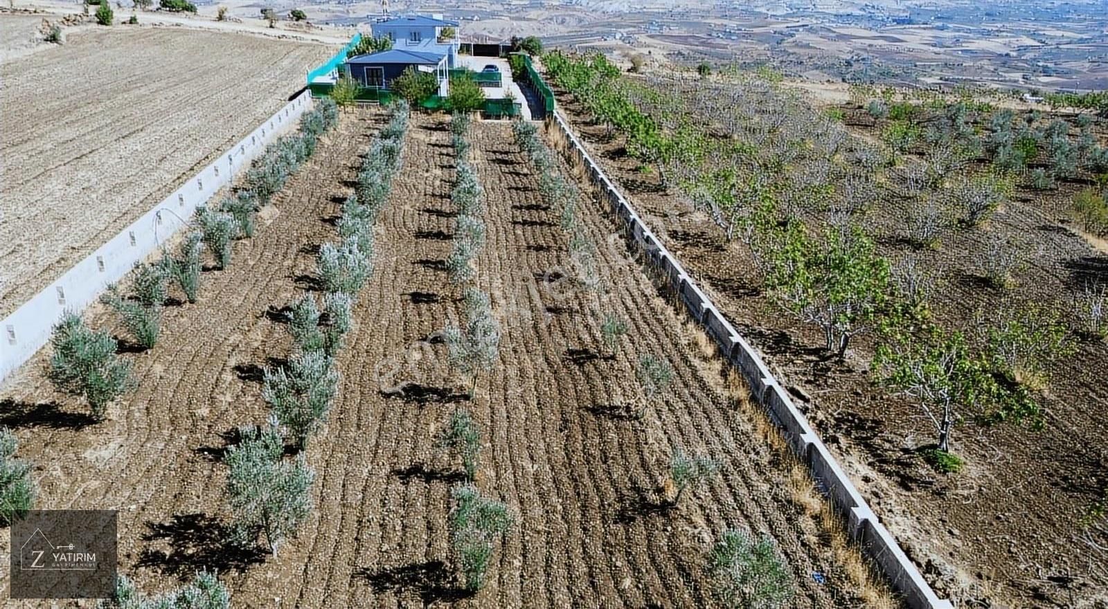 Z Yatırım'dan Burç Yazıbağında 4000m2 Alana Kurulu 2 Adet Villa - Görsel 3