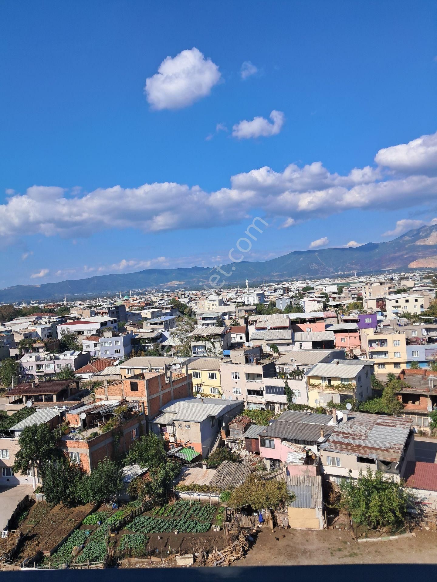 Hafsa Sultan Dan Birzan Rose Projesi - Görsel 22