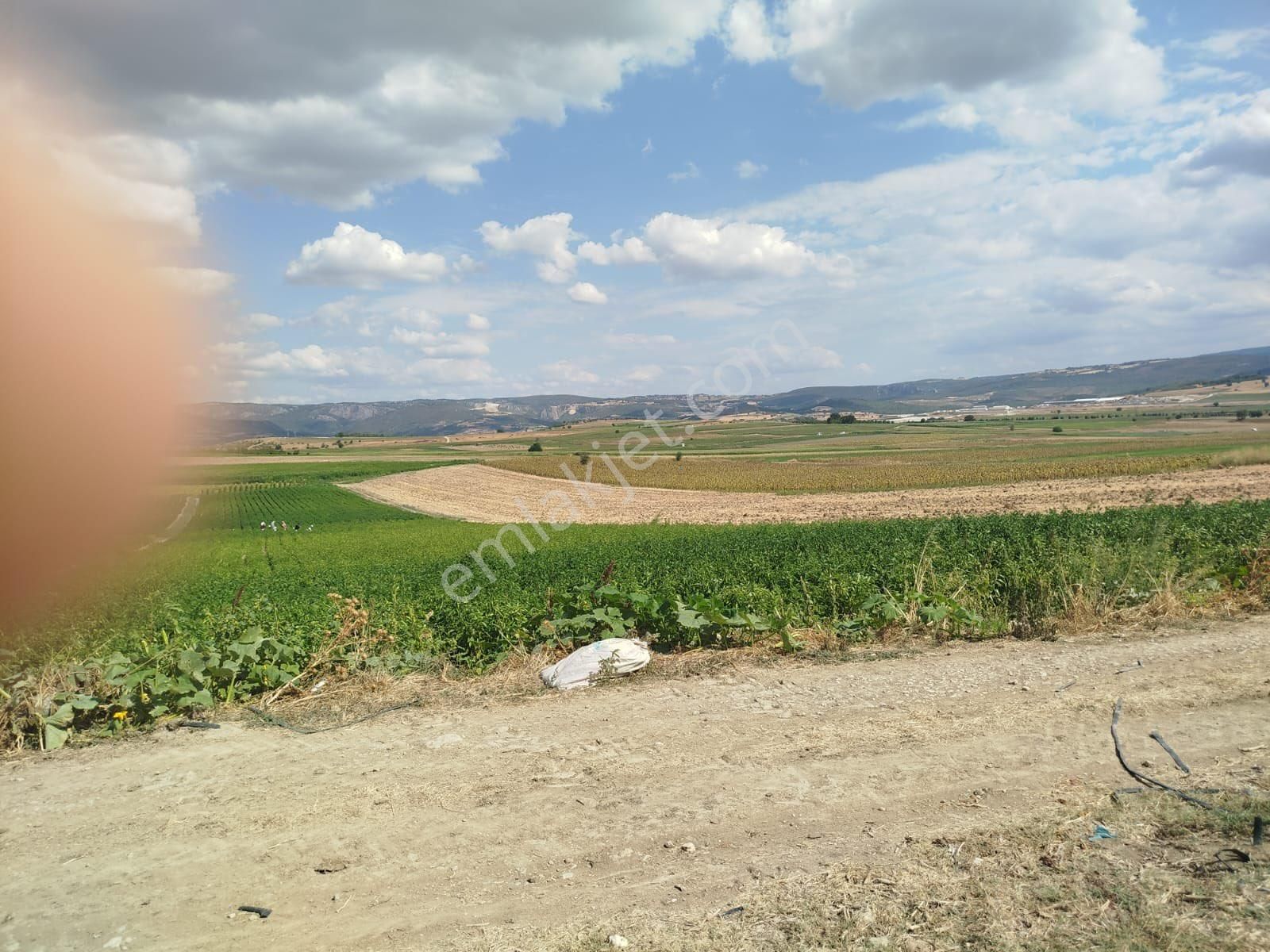 Y Şehir De Satılık Yolu Suyu Mevcut 9.515m2 Tarla - Görsel 4