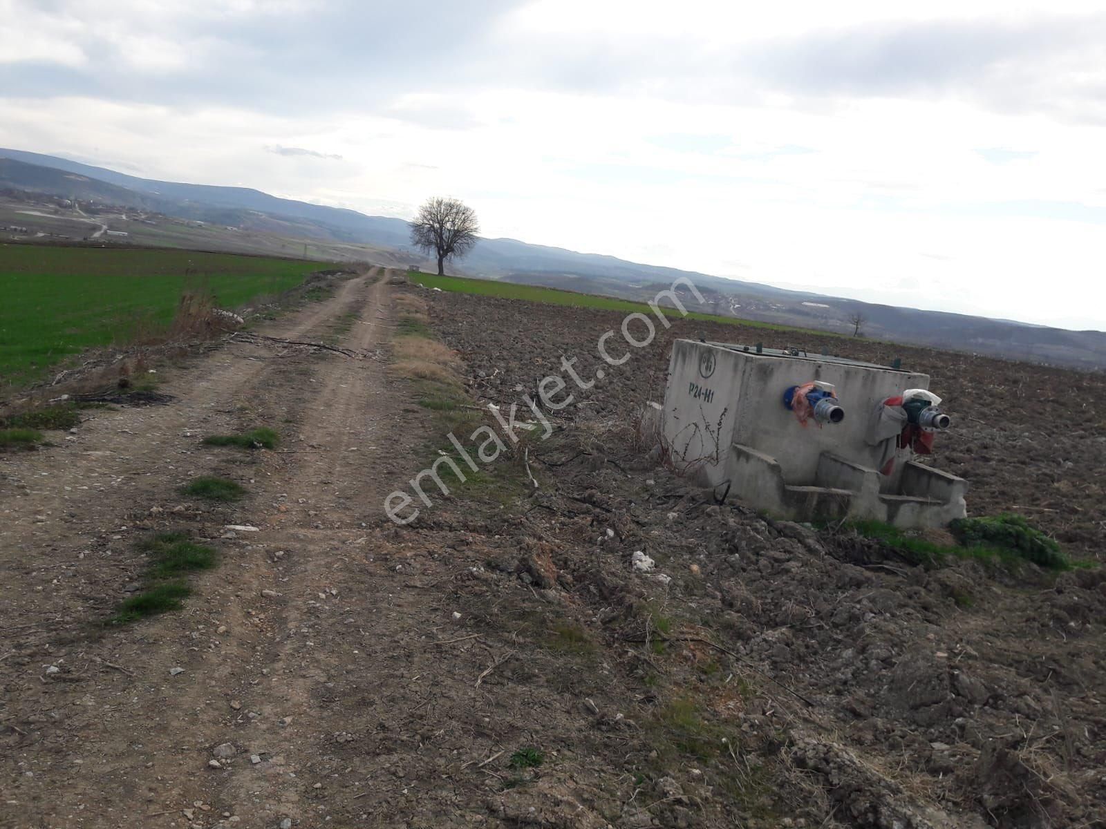 Y Şehir De Satılık Yolu Suyu Mevcut 9.515m2 Tarla - Görsel 18