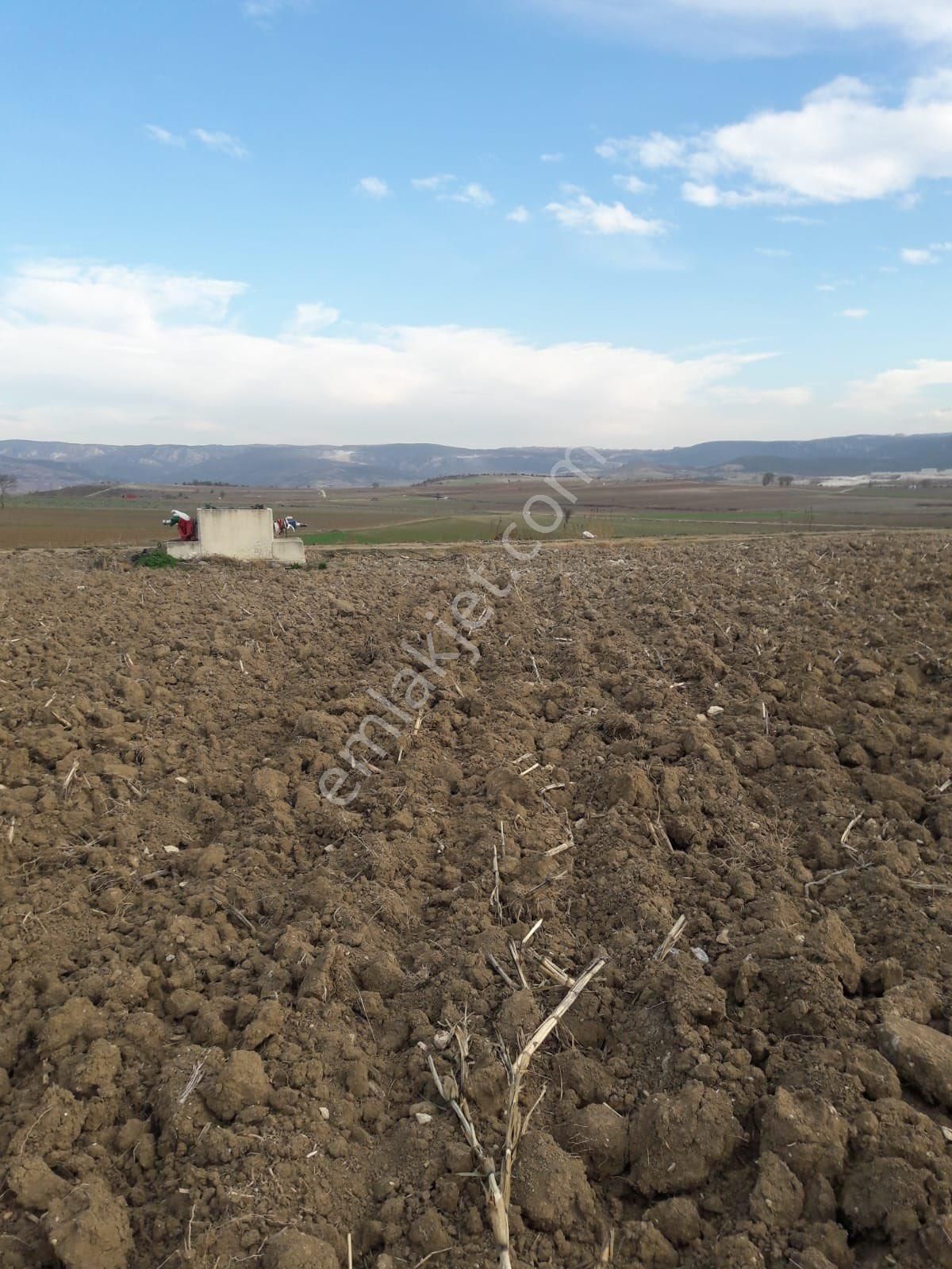 Y Şehir De Satılık Yolu Suyu Mevcut 9.515m2 Tarla - Görsel 20