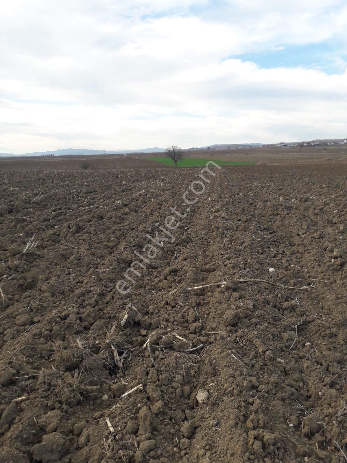 Y Şehir De Satılık Yolu Suyu Mevcut 9.515m2 Tarla - Görsel 13