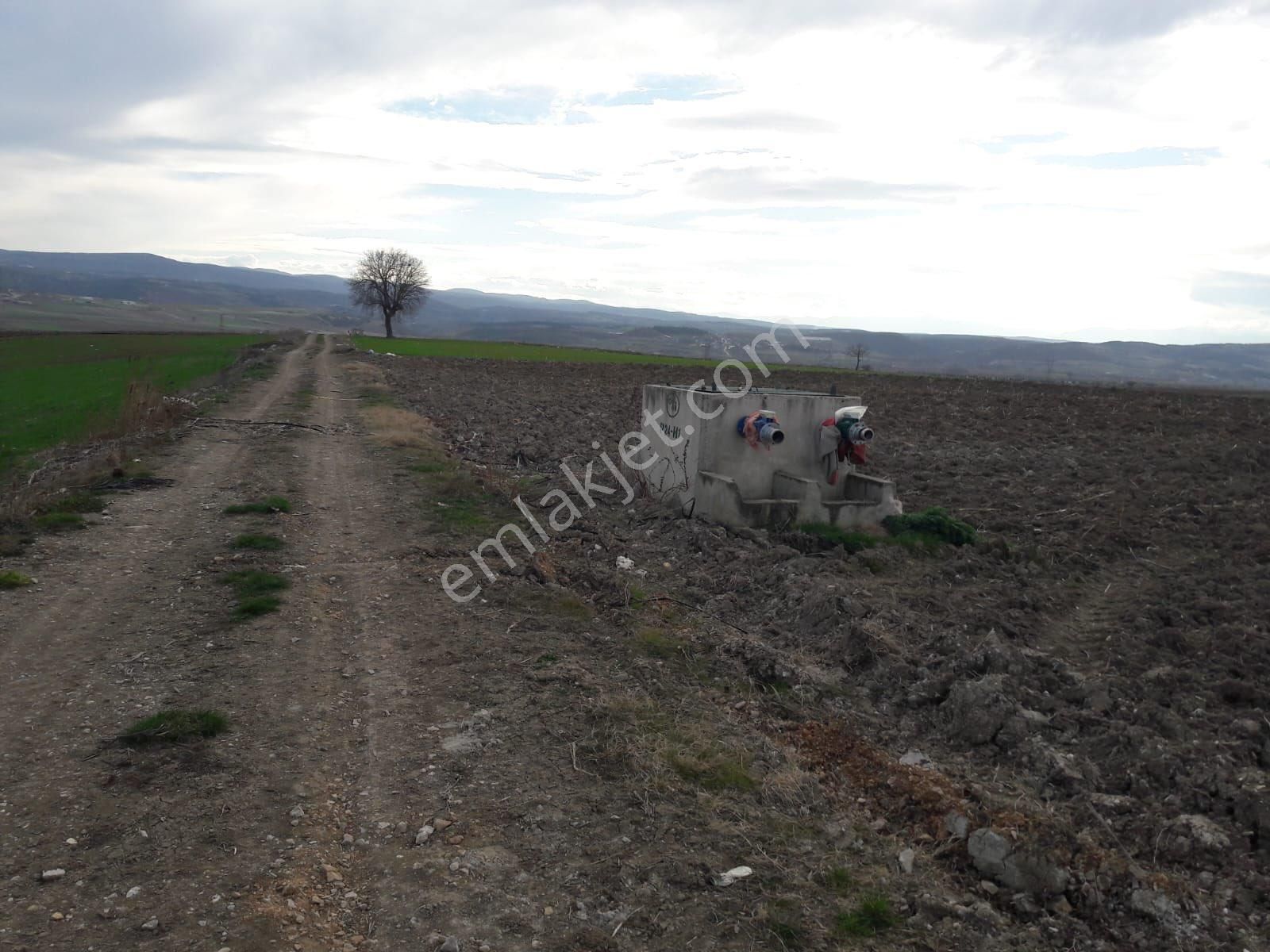 Y Şehir De Satılık Yolu Suyu Mevcut 9.515m2 Tarla - Görsel 24
