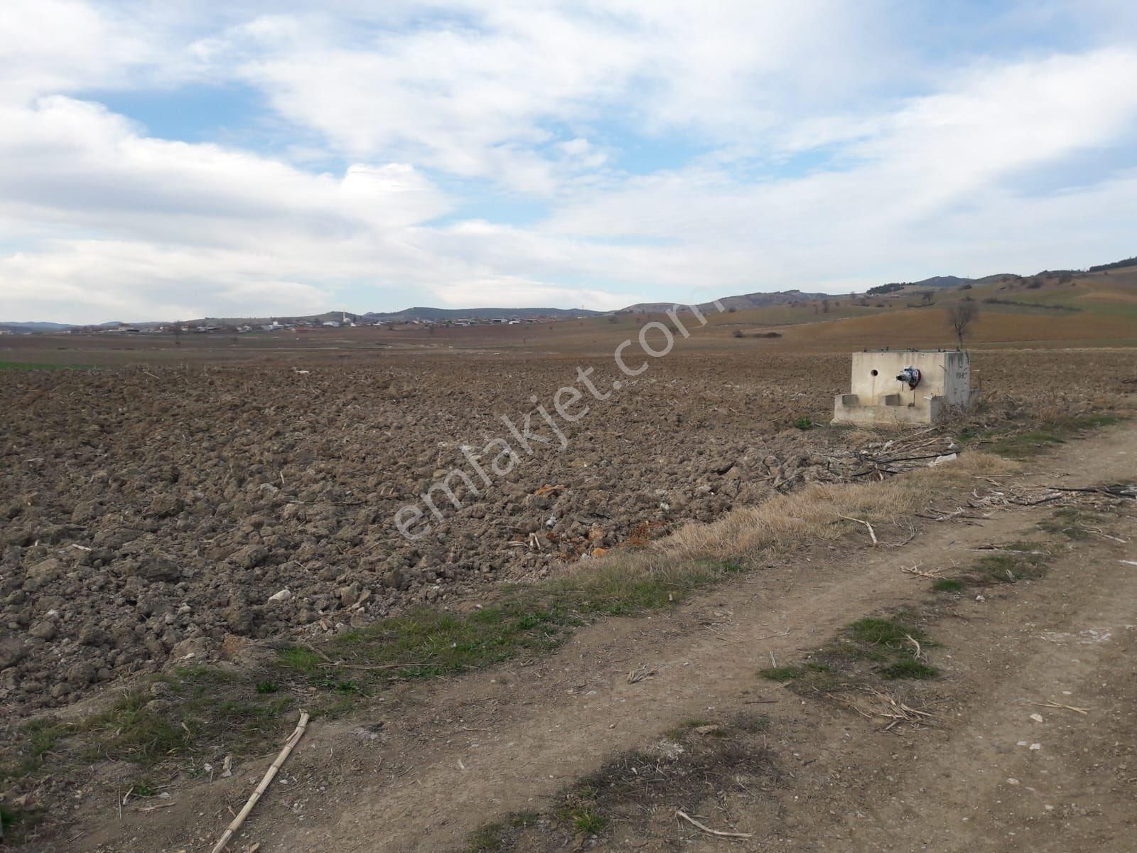 Y Şehir De Satılık Yolu Suyu Mevcut 9.515m2 Tarla - Görsel 23