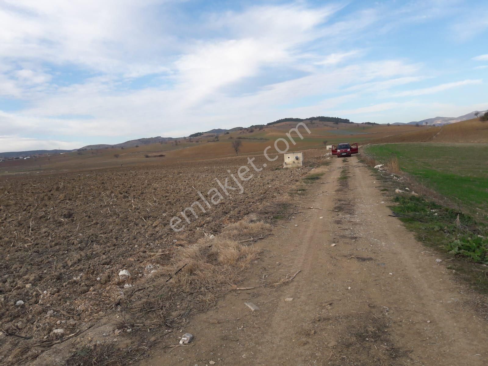 Y Şehir De Satılık Yolu Suyu Mevcut 9.515m2 Tarla - Görsel 8