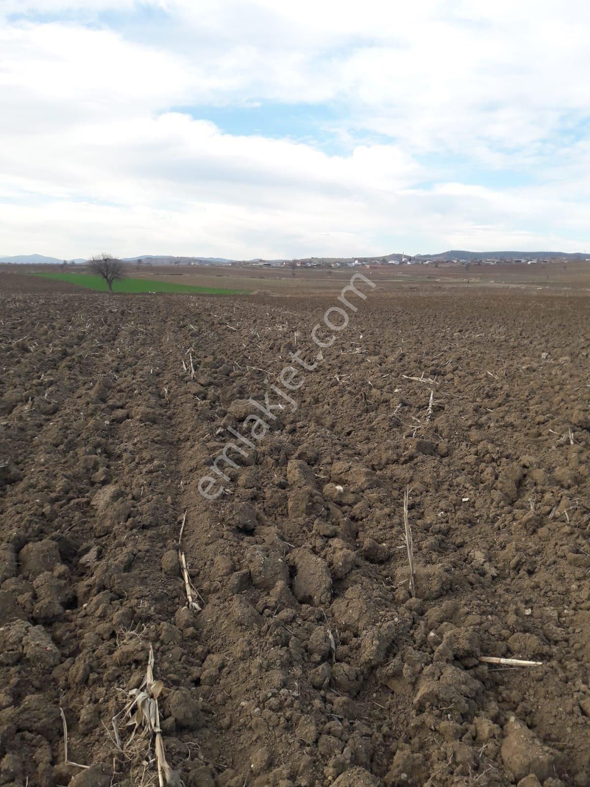 Y Şehir De Satılık Yolu Suyu Mevcut 9.515m2 Tarla - Görsel 6