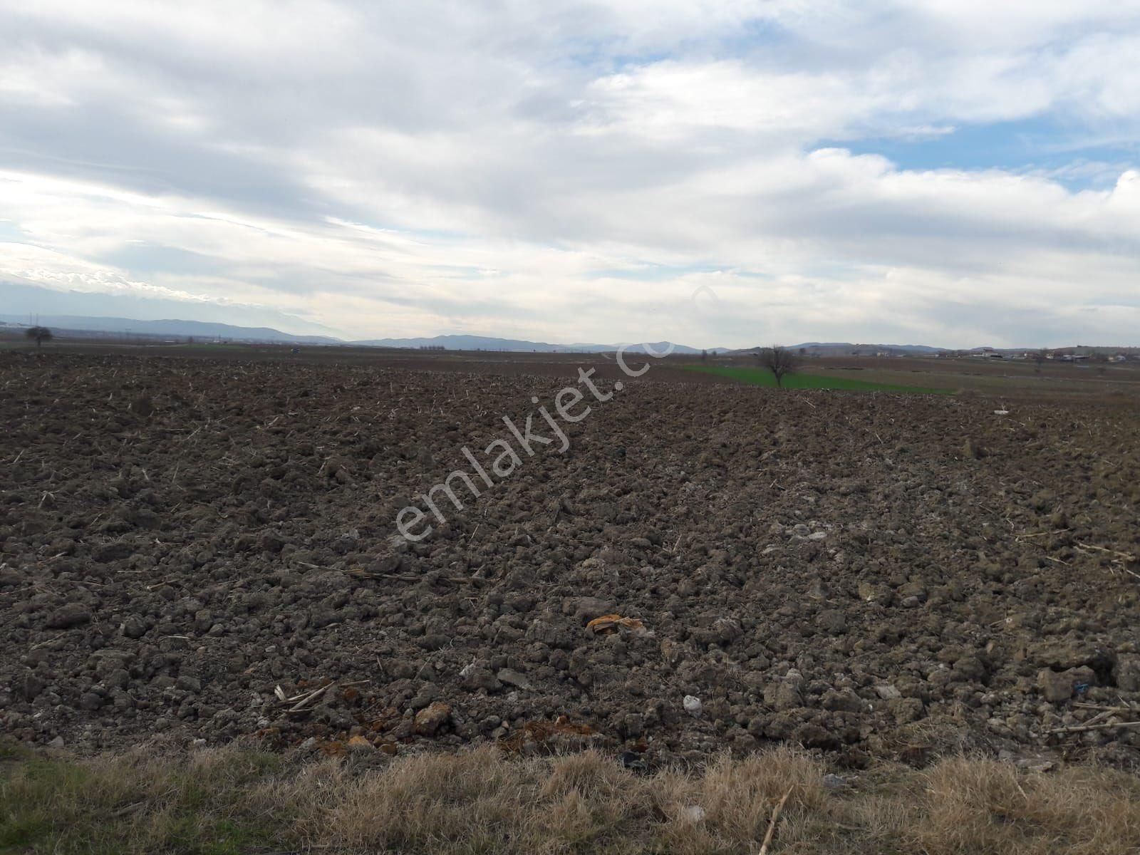 Y Şehir De Satılık Yolu Suyu Mevcut 9.515m2 Tarla - Görsel 11
