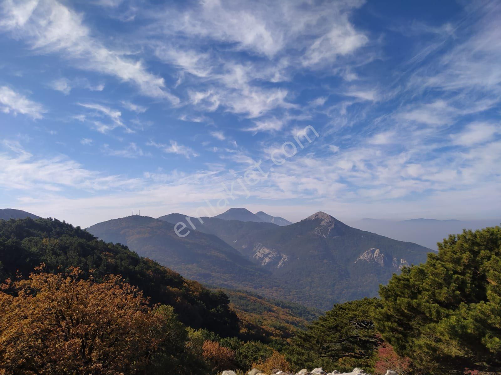 Söke’de Oturuma Ha Zır Satılık Havuzlu 2+1 Daire - Görsel 44