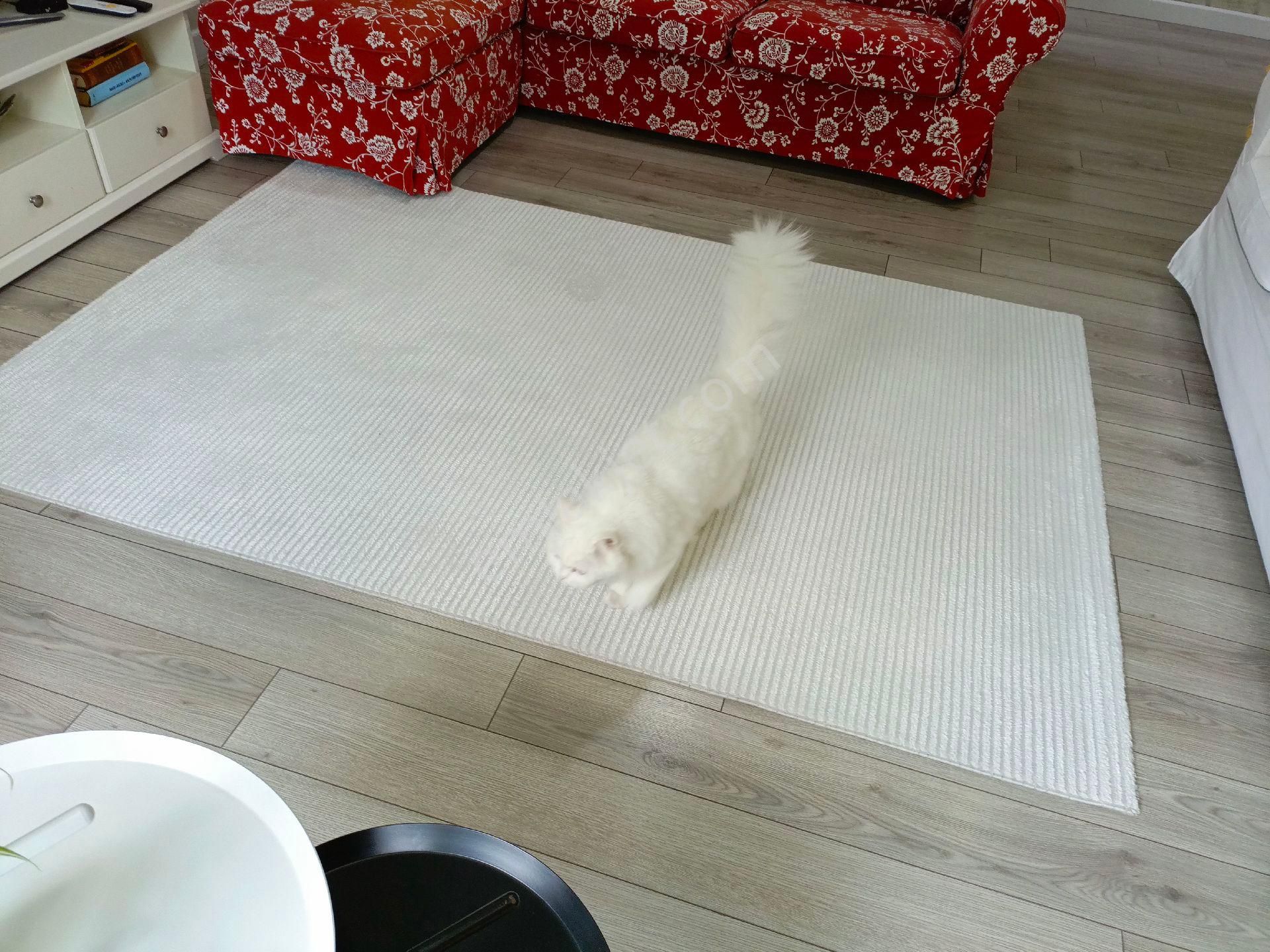 Küçükçekmece Halkalı Atakent 3 Etapta Full+ful Tadilatı 3+1 Satılık - Görsel 24