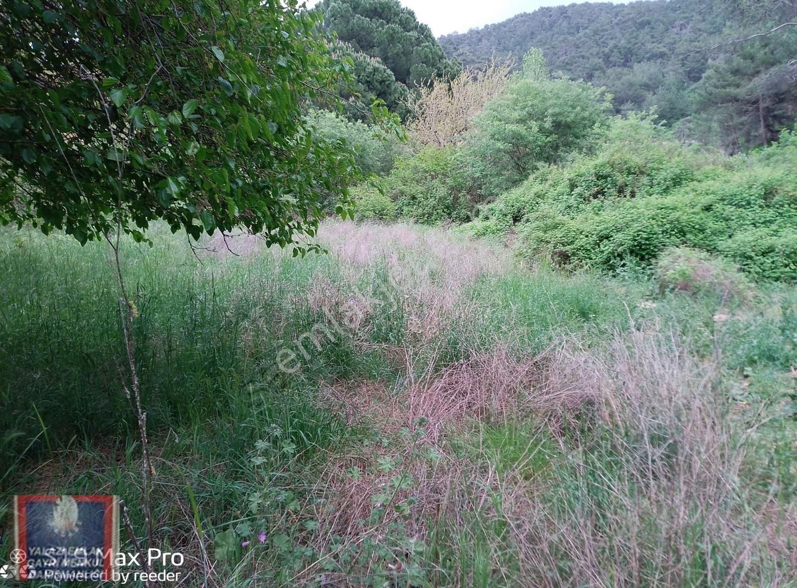 Havran/köylüce De/dere Kenarında,2000 M.kare Bahçe Satılık - Görsel 4