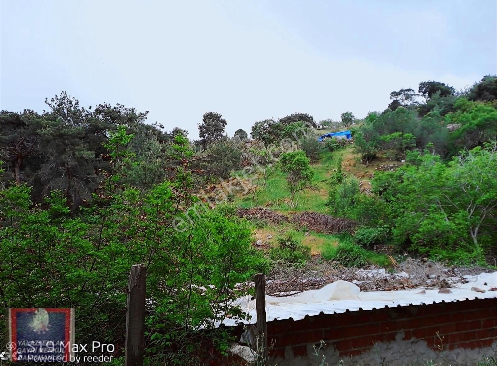 Havran/köylüce De/dere Kenarında,2000 M.kare Bahçe Satılık - Görsel 6