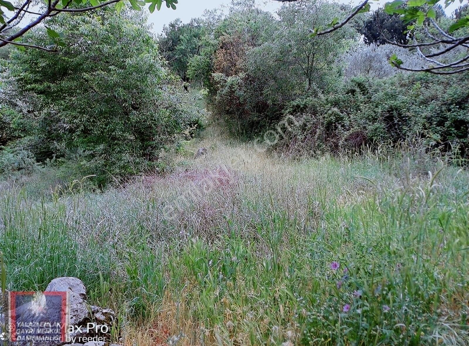 Havran/köylüce De/dere Kenarında,2000 M.kare Bahçe Satılık - Görsel 8