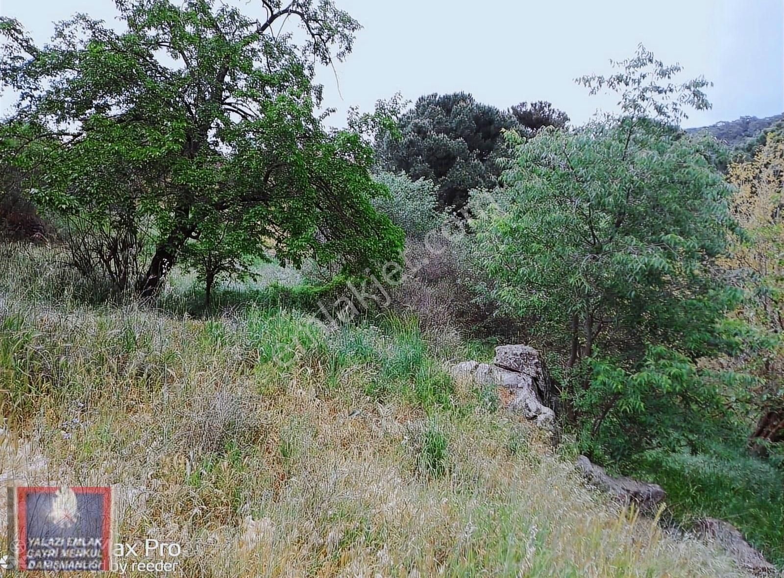 Havran/köylüce De/dere Kenarında,2000 M.kare Bahçe Satılık - Görsel 12