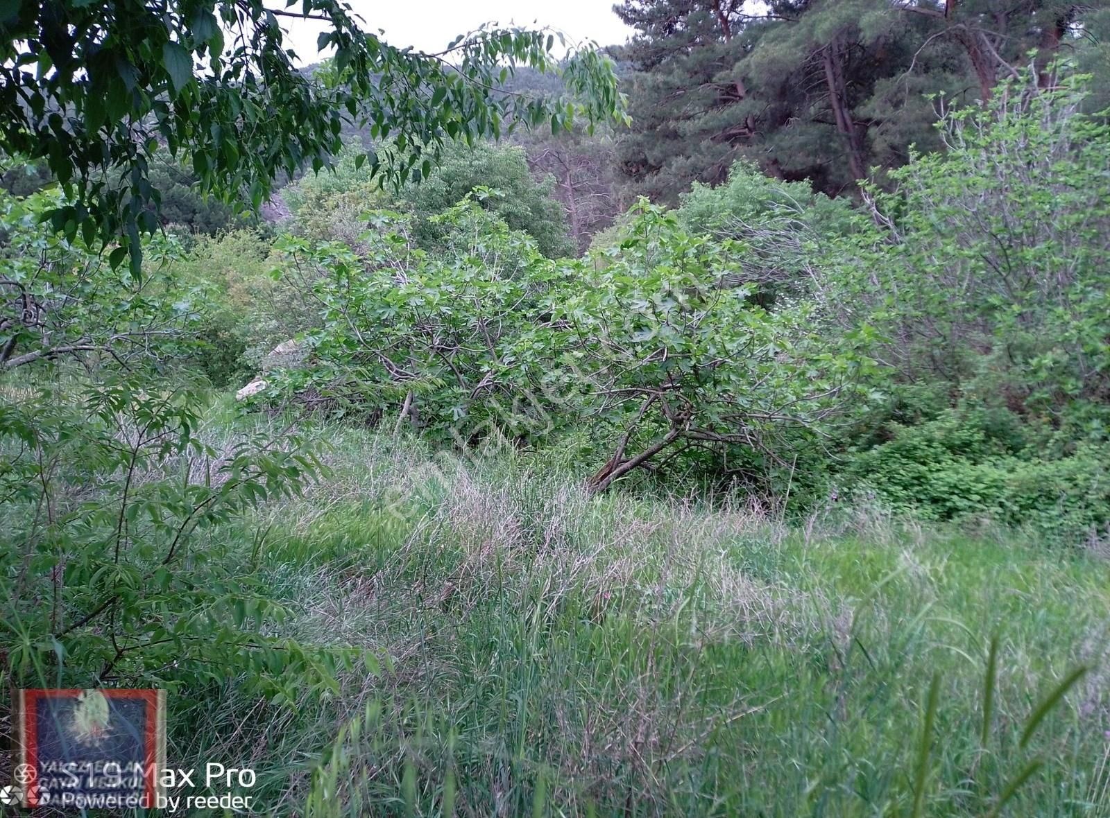 Havran/köylüce De/dere Kenarında,2000 M.kare Bahçe Satılık - Görsel 9