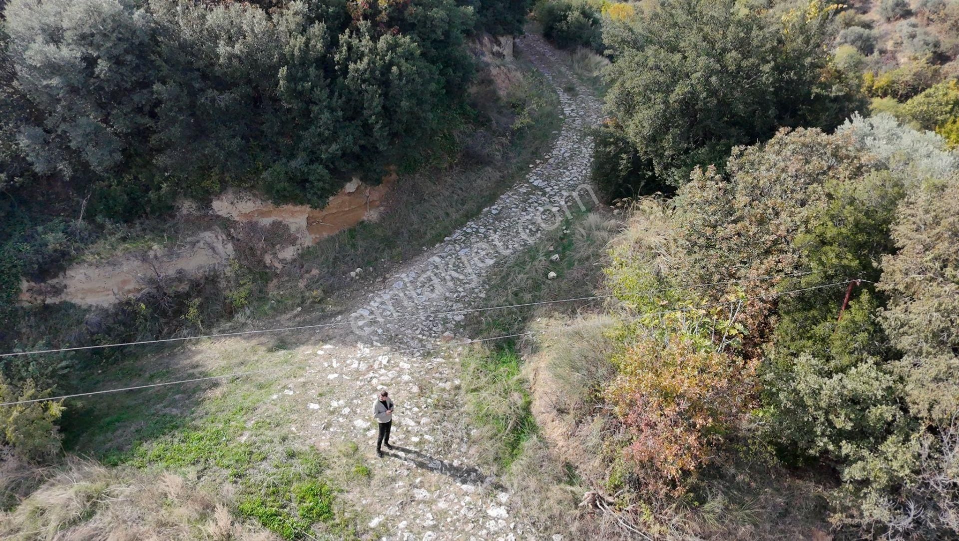 Aydın Nazilli Karacasu Yaylalı Mahallesi – Satılık 13.500 M² Mülk - Görsel 13