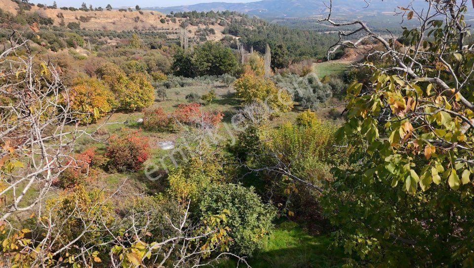 Aydın Nazilli Karacasu Yaylalı Mahallesi – Satılık 13.500 M² Mülk - Görsel 6