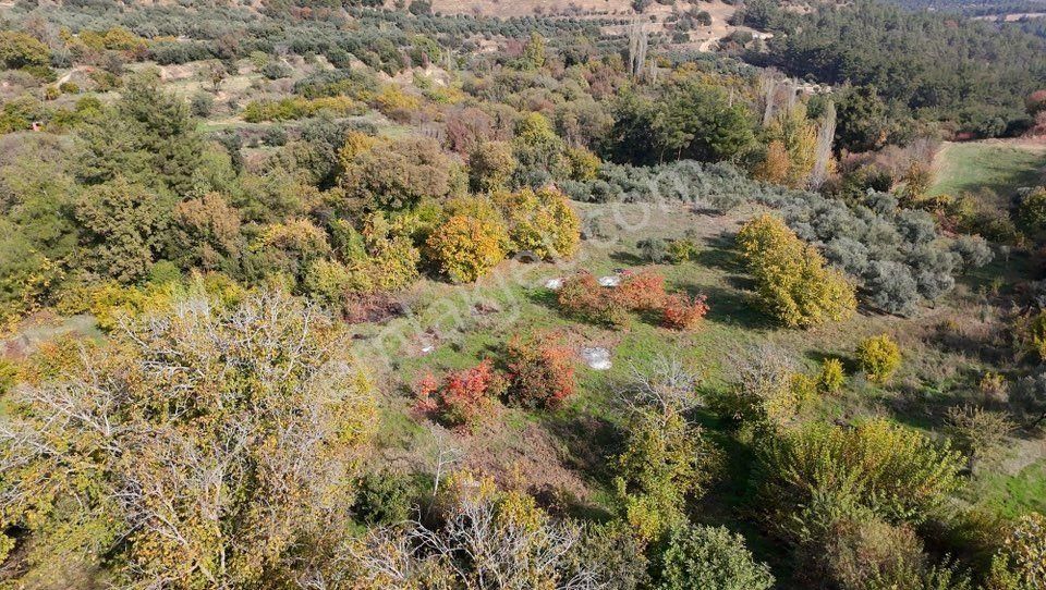 Aydın Nazilli Karacasu Yaylalı Mahallesi – Satılık 13.500 M² Mülk - Görsel 7