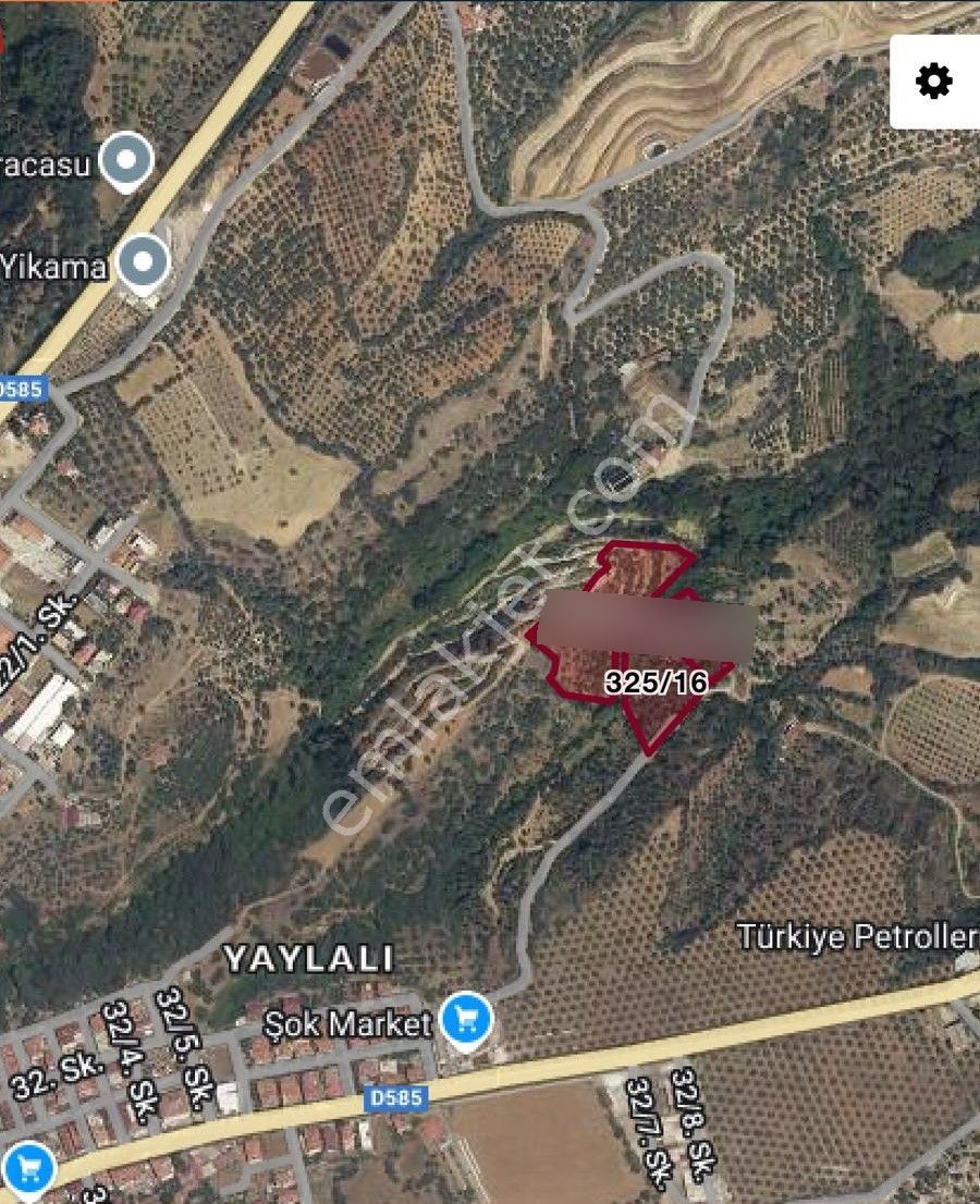 Aydın Nazilli Karacasu Yaylalı Mahallesi – Satılık 13.500 M² Mülk - Görsel 16