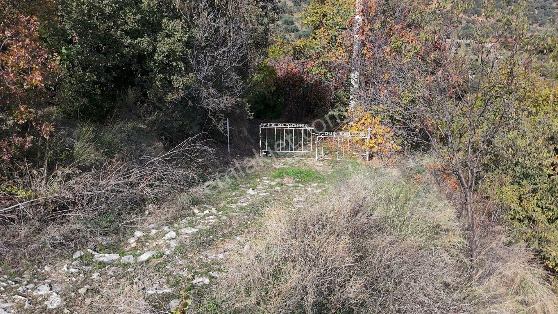 Aydın Nazilli Karacasu Yaylalı Mahallesi – Satılık 13.500 M² Mülk - Görsel 14