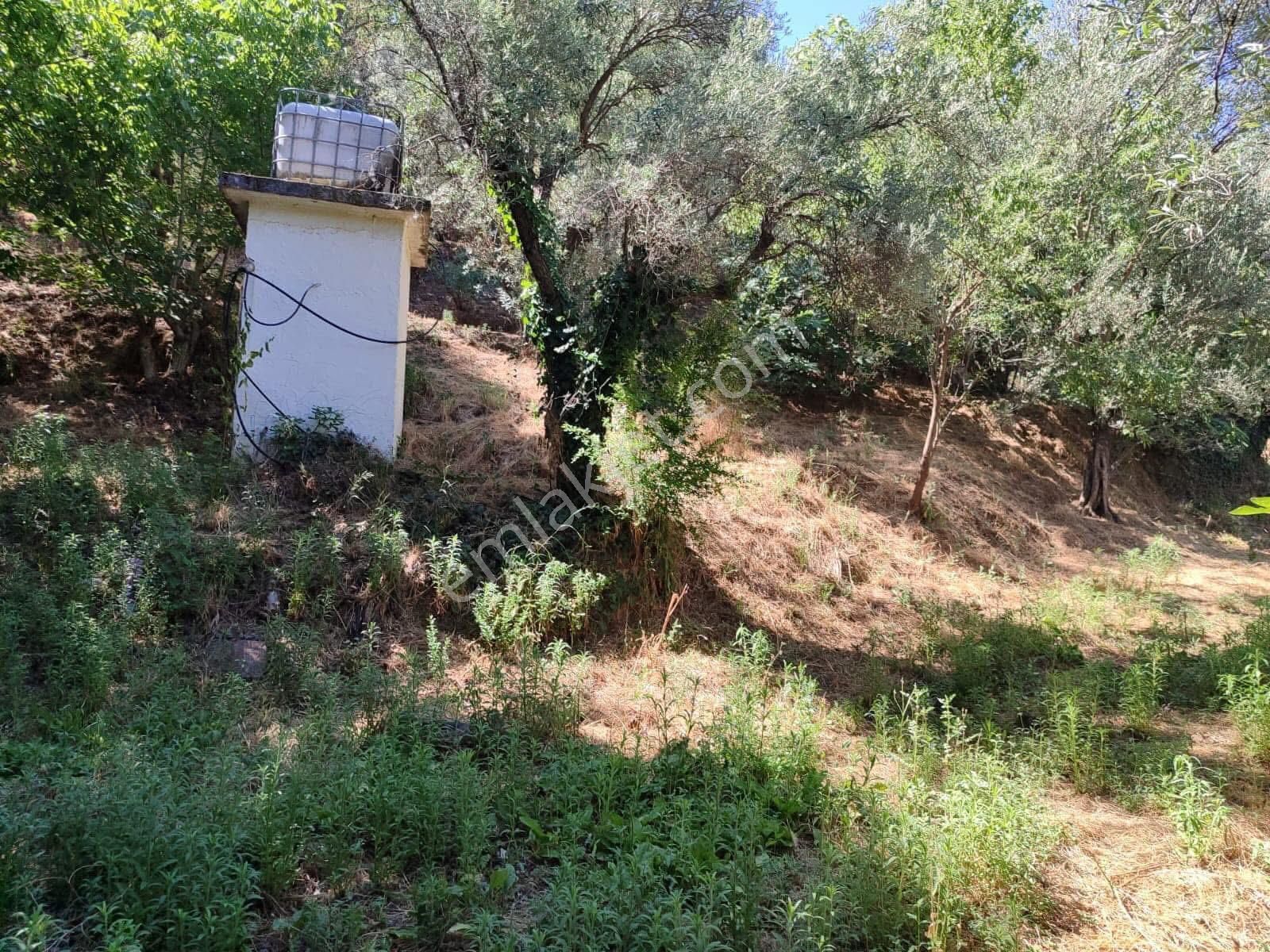 Aydın Nazilli Karacasu Yaylalı Mahallesi – Satılık 13.500 M² Mülk - Görsel 22