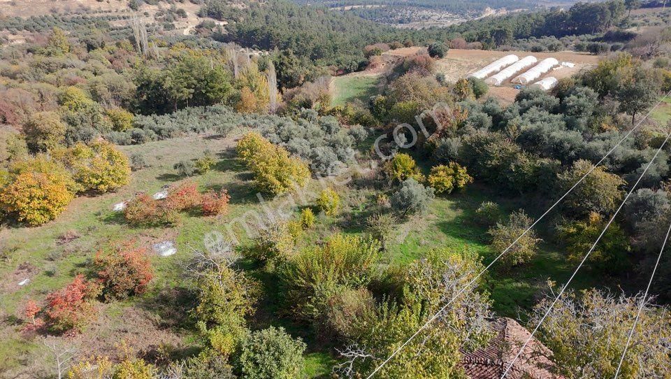 Aydın Nazilli Karacasu Yaylalı Mahallesi – Satılık 13.500 M² Mülk - Görsel 12