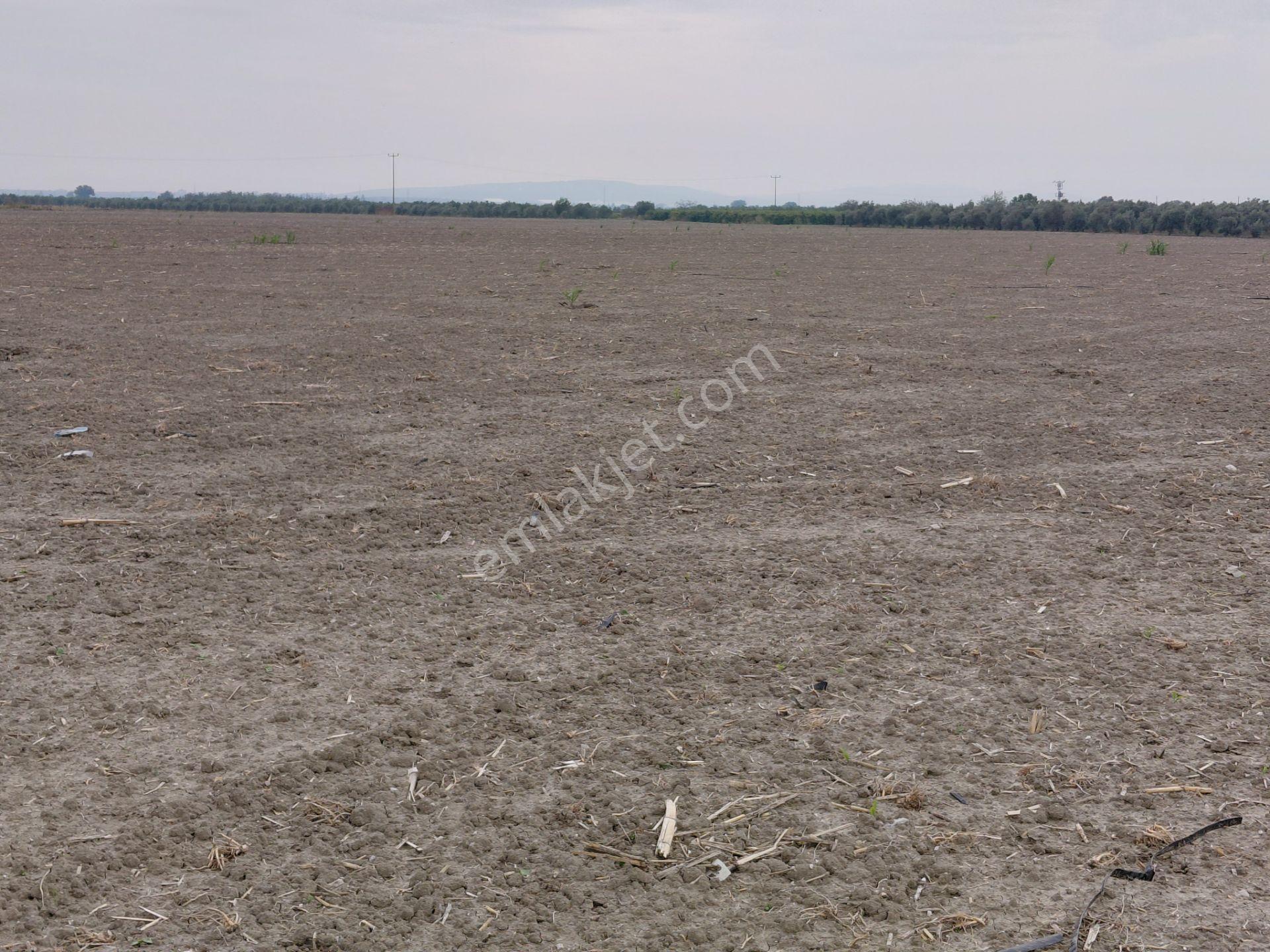 Akhisar Da Satılık 33.000 M2 Tarla Hertürlü Tarım Ve Hayvancılık İçin Uygun - Görsel 20