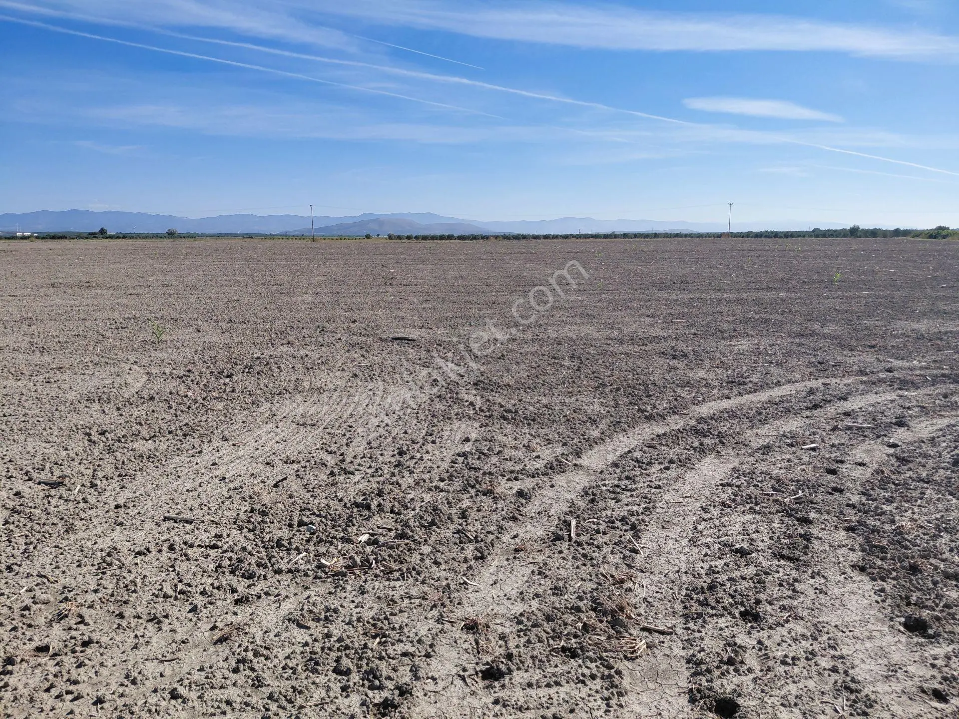 Akhisar Da Satılık 33.000 M2 Tarla Hertürlü Tarım Ve Hayvancılık İçin Uygun - Görsel 3