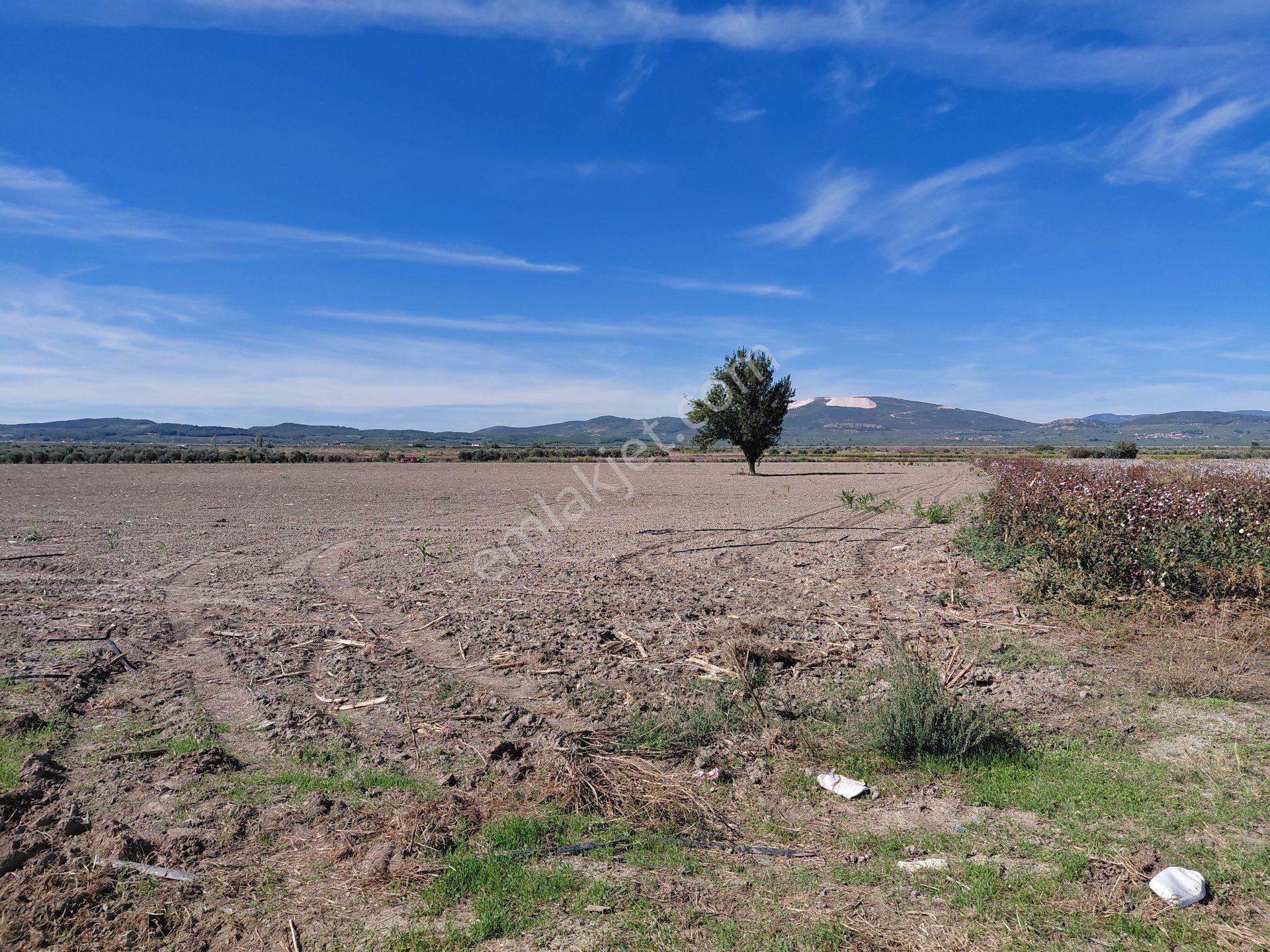 Akhisar Da Satılık 33.000 M2 Tarla Hertürlü Tarım Ve Hayvancılık İçin Uygun - Görsel 12