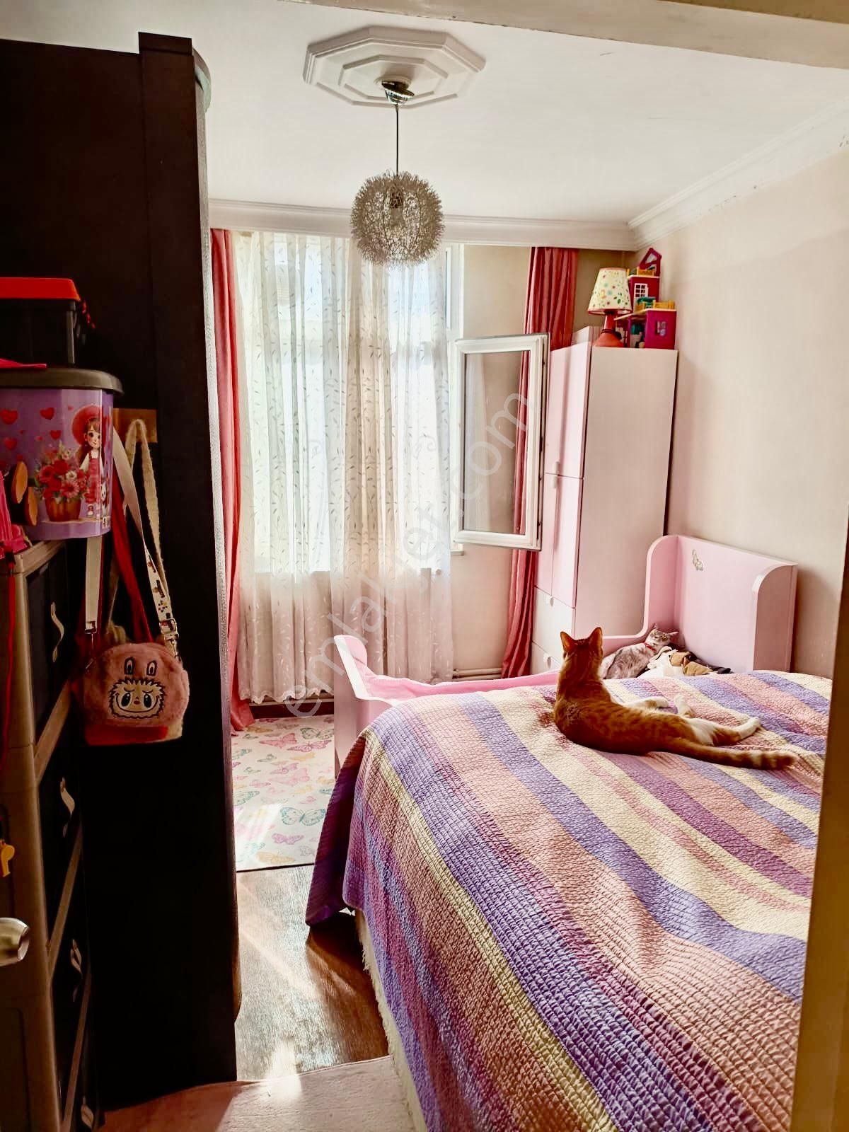 Geniş Daire - Görsel 23