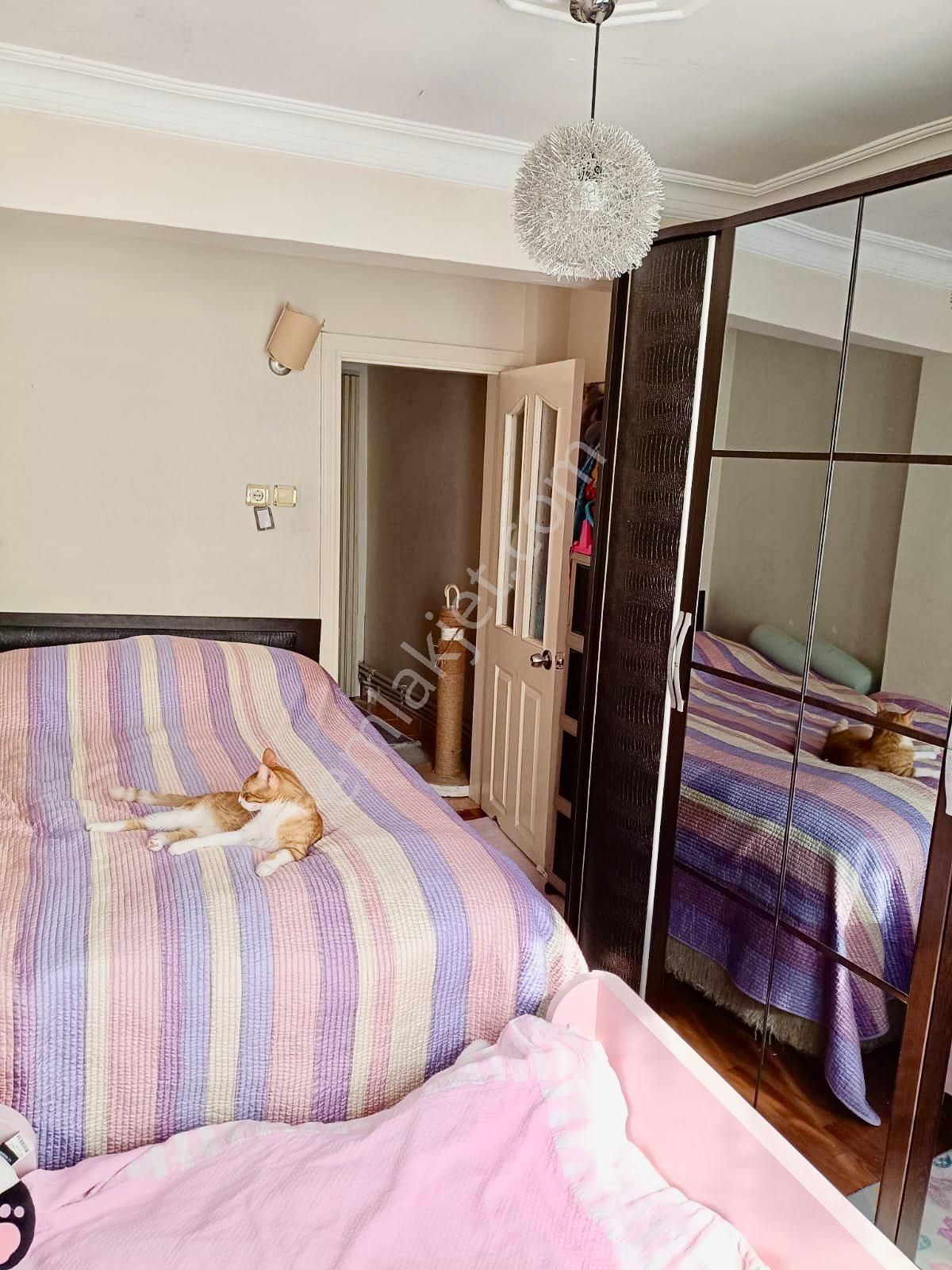 Geniş Daire - Görsel 21