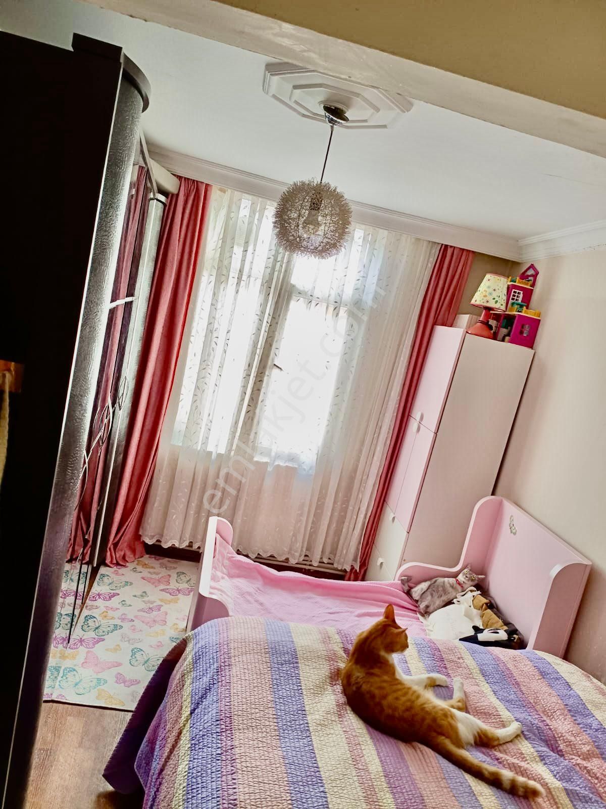 Geniş Daire - Görsel 19