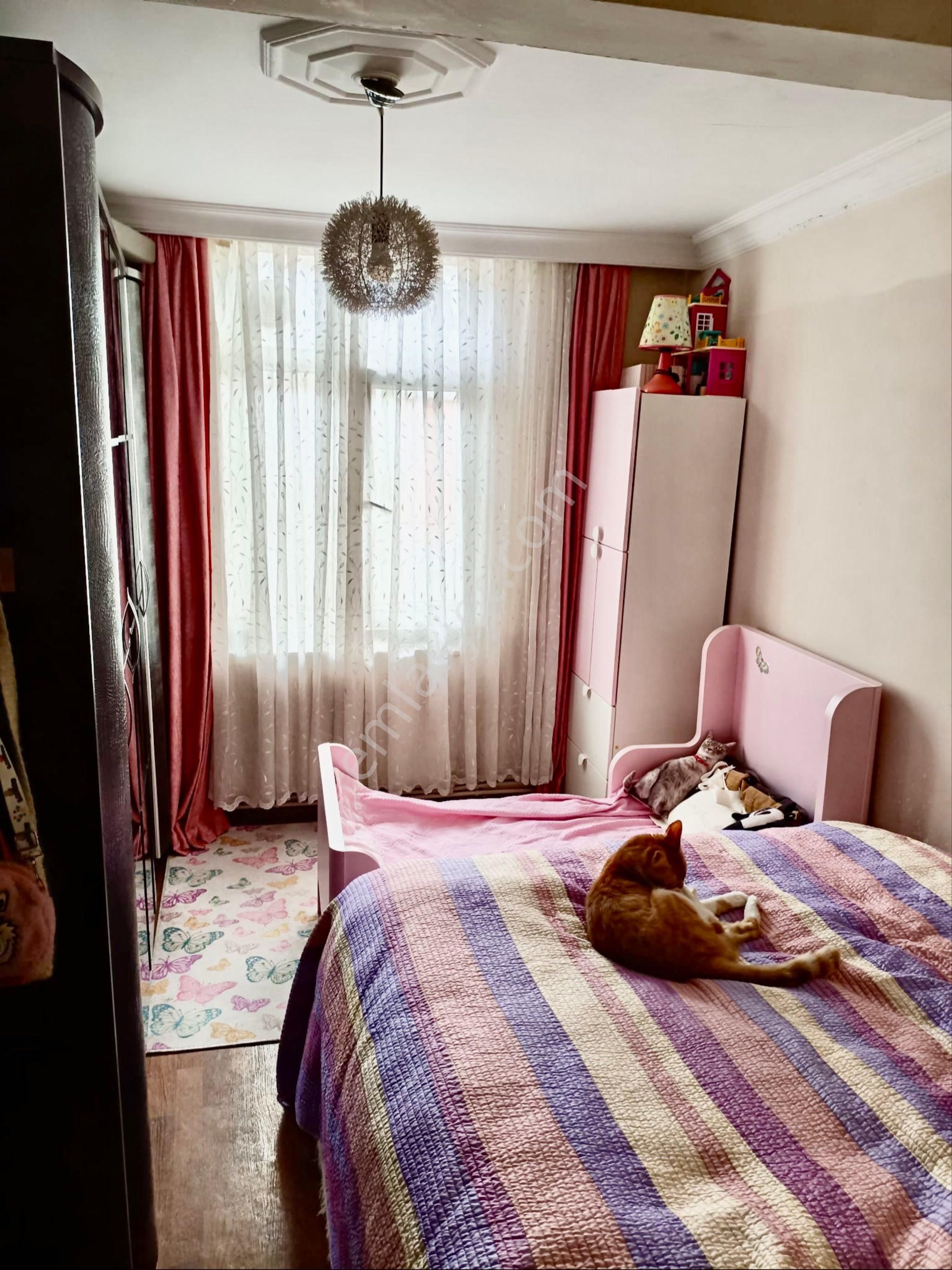 Geniş Daire - Görsel 20