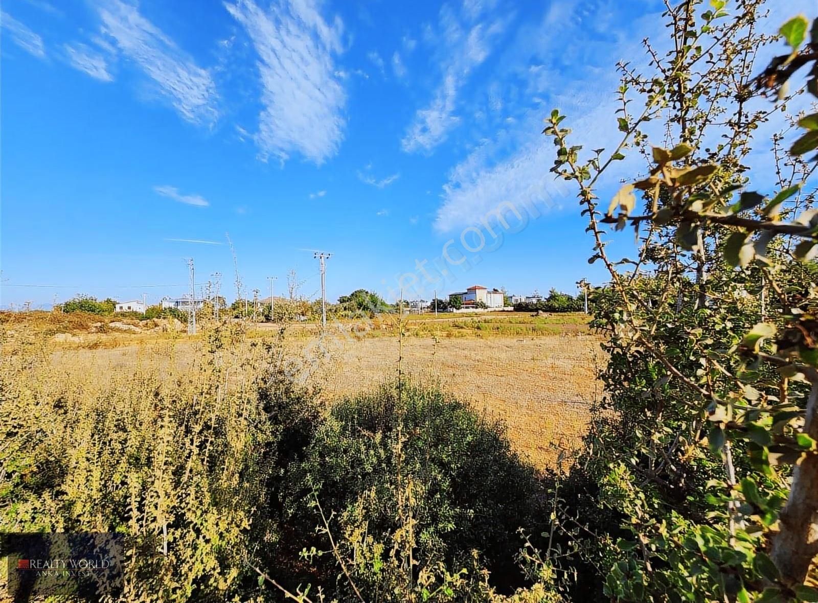 Rw Ankadan Altınkalde 2727m² Villalar Bölgesinde Yatırım Fırsatı - Görsel 6