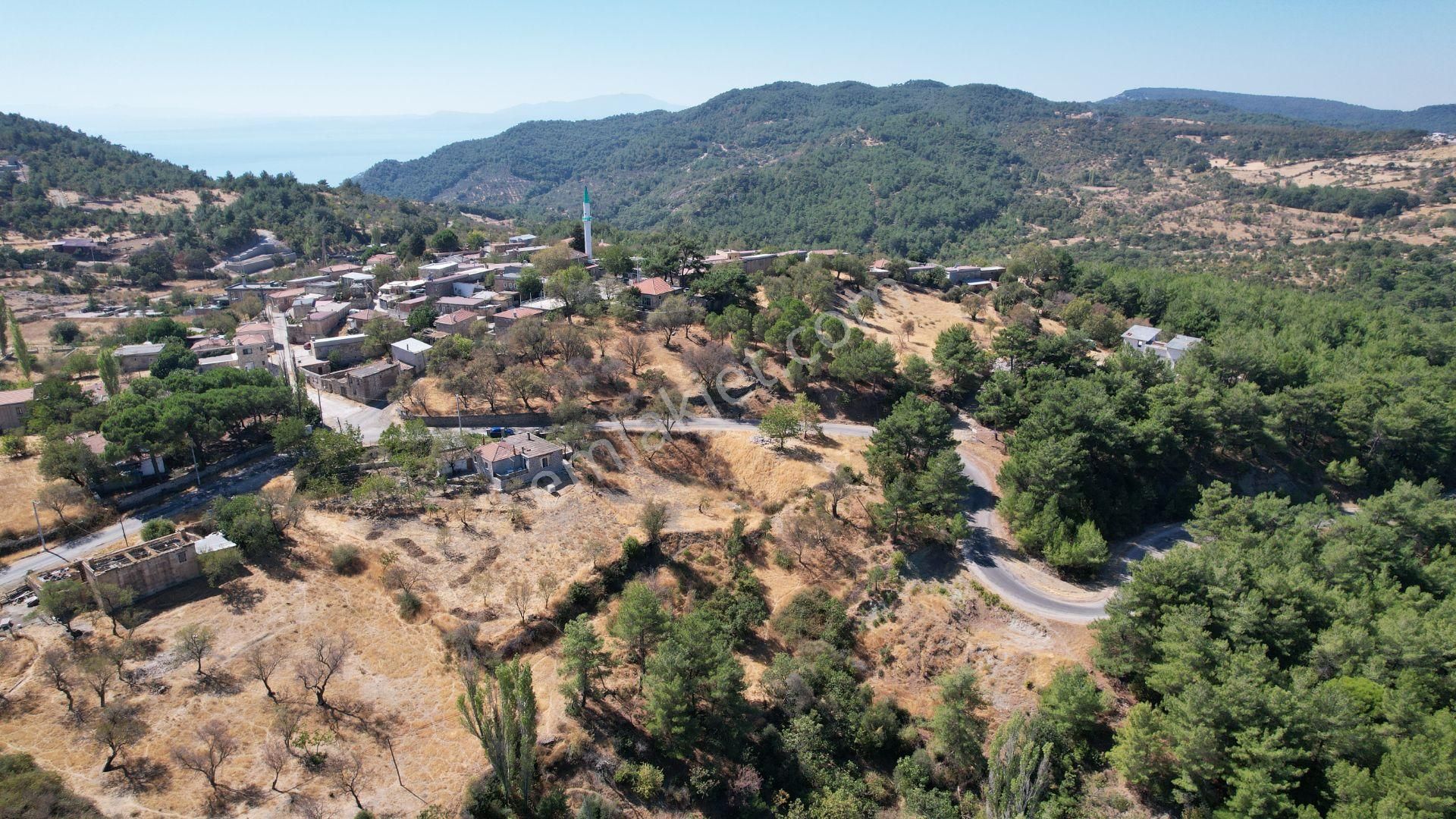 Çanakkale Ayvacık Demirciköy Satılık 729 M2 İmarlı Arsa - Görsel 13