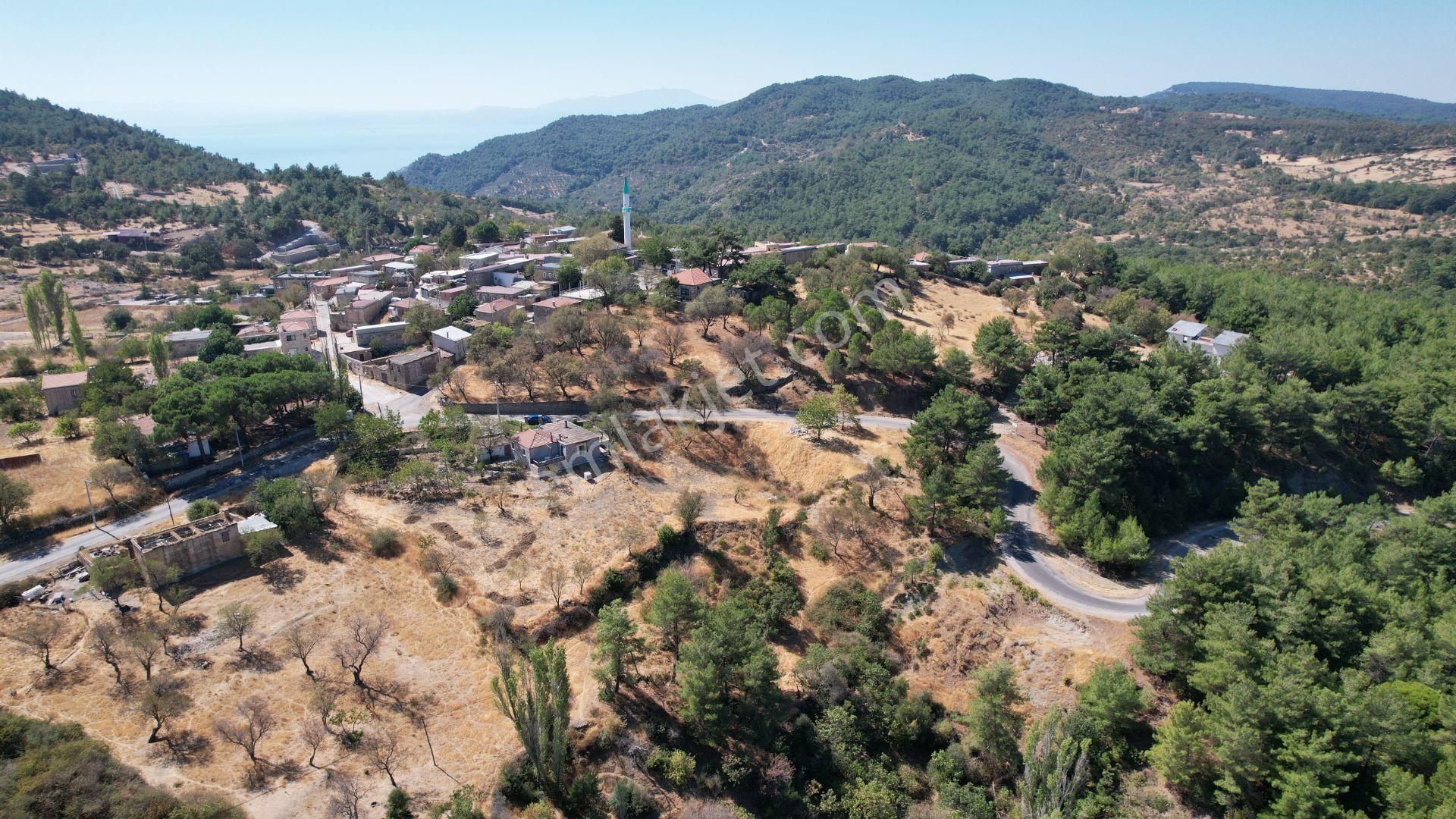 Çanakkale Ayvacık Demirciköy Satılık 729 M2 İmarlı Arsa - Görsel 12