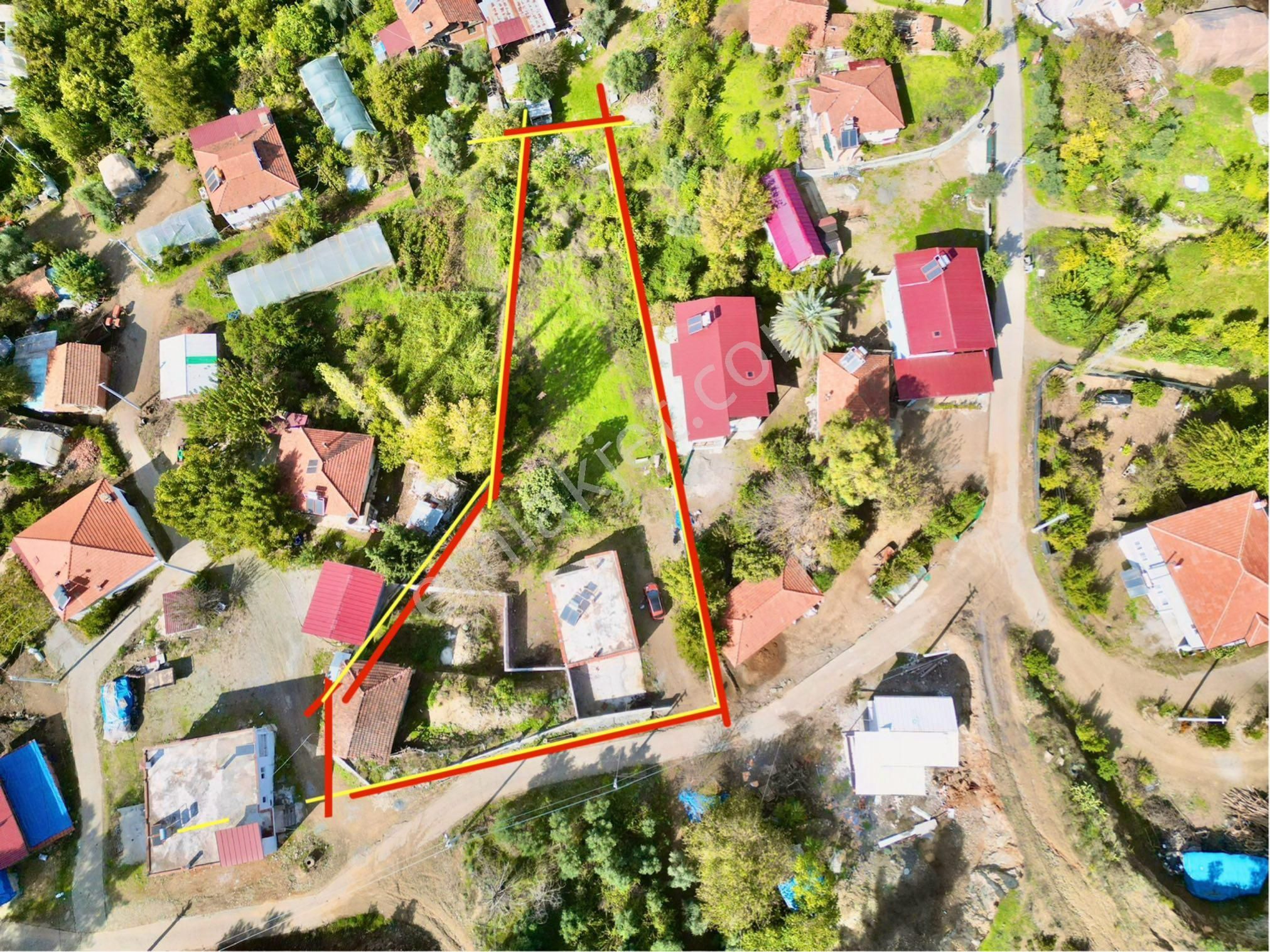 Köyceğiz Zeytinalanı Mevkii Köy İçi 1769 M2 2+1 Ev Arsası